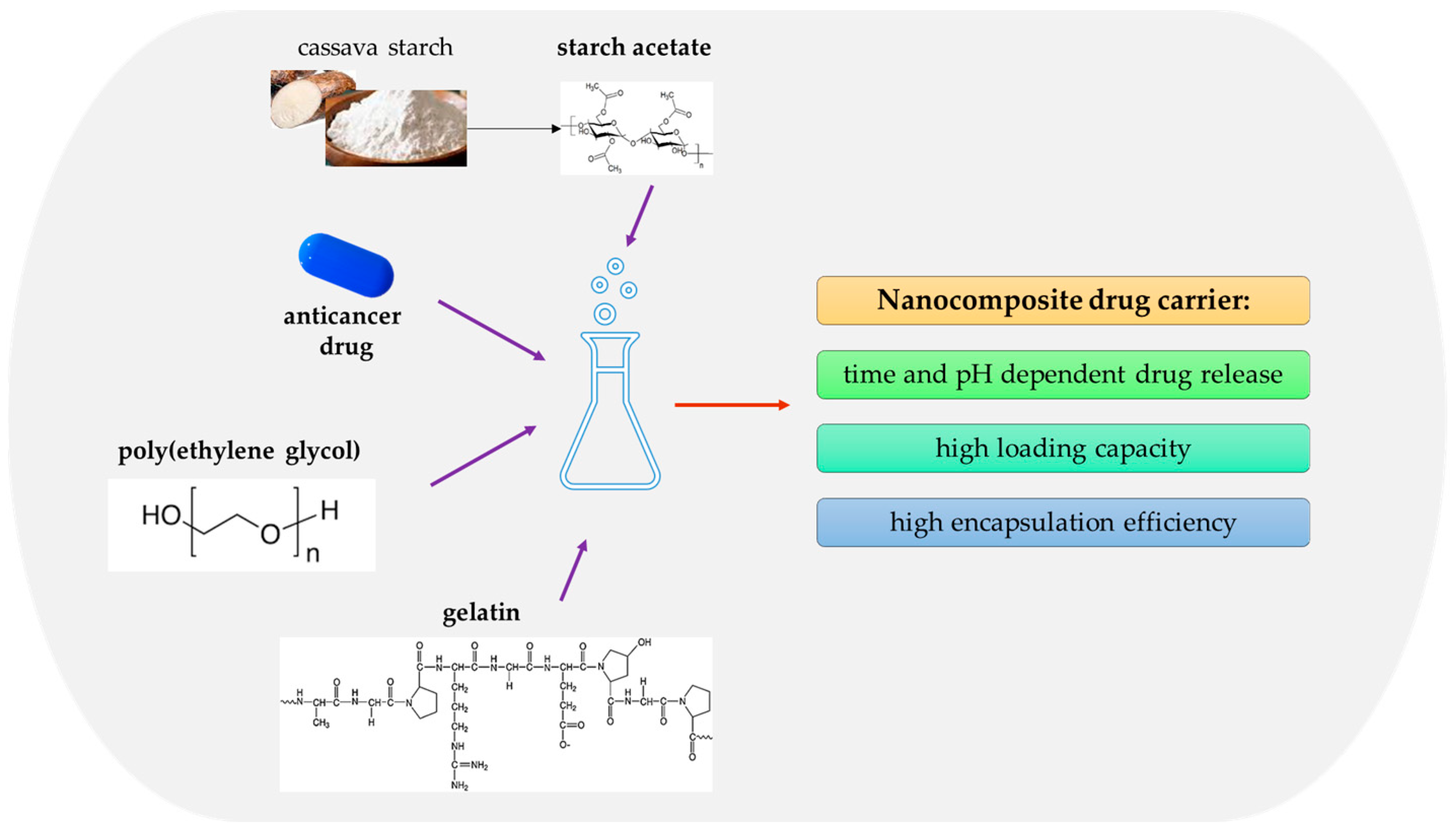 Ijms 25 00786 g009 Ijms 25 00786 g009