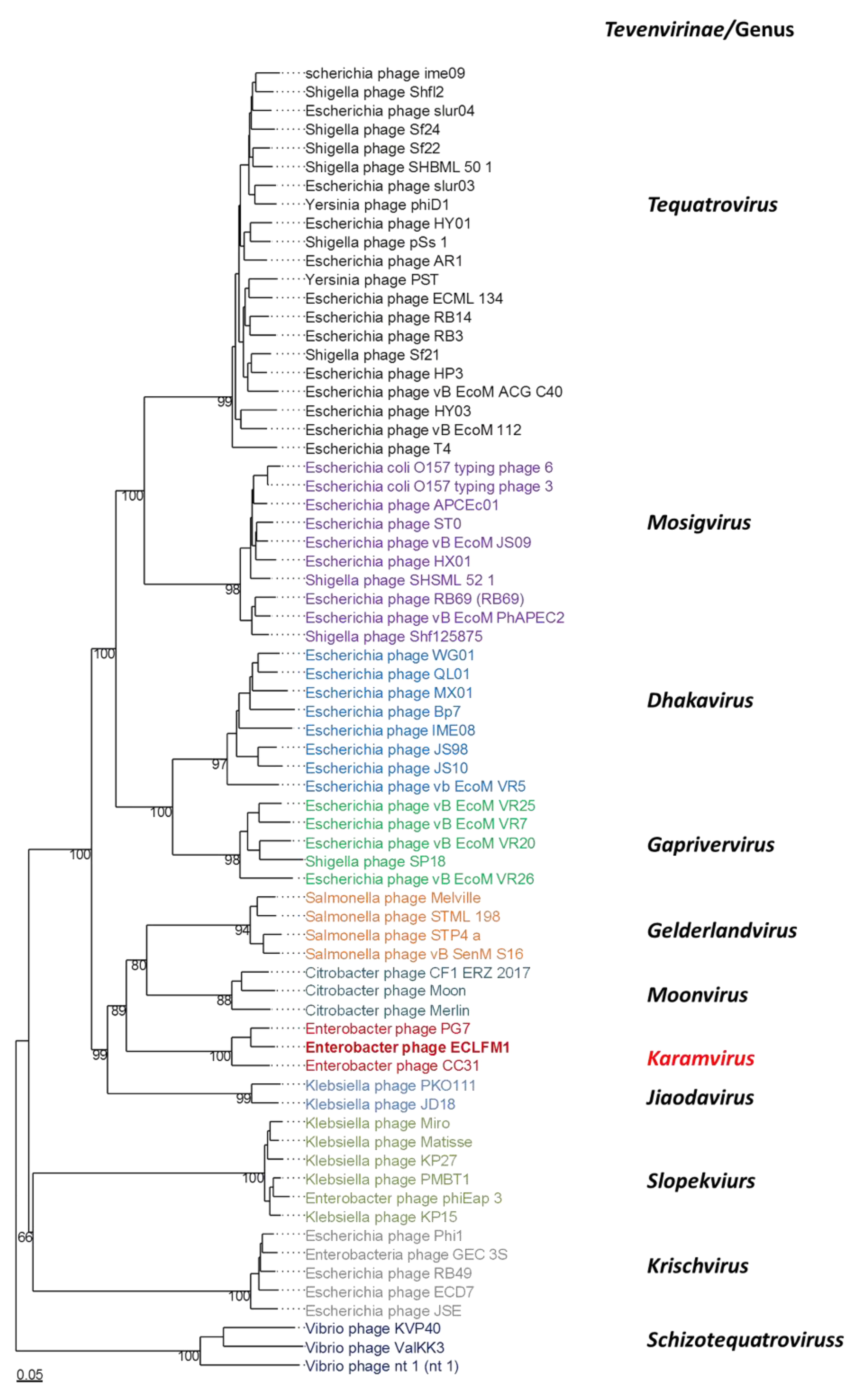 Ijms 25 00854 g009 Ijms 25 00854 g009