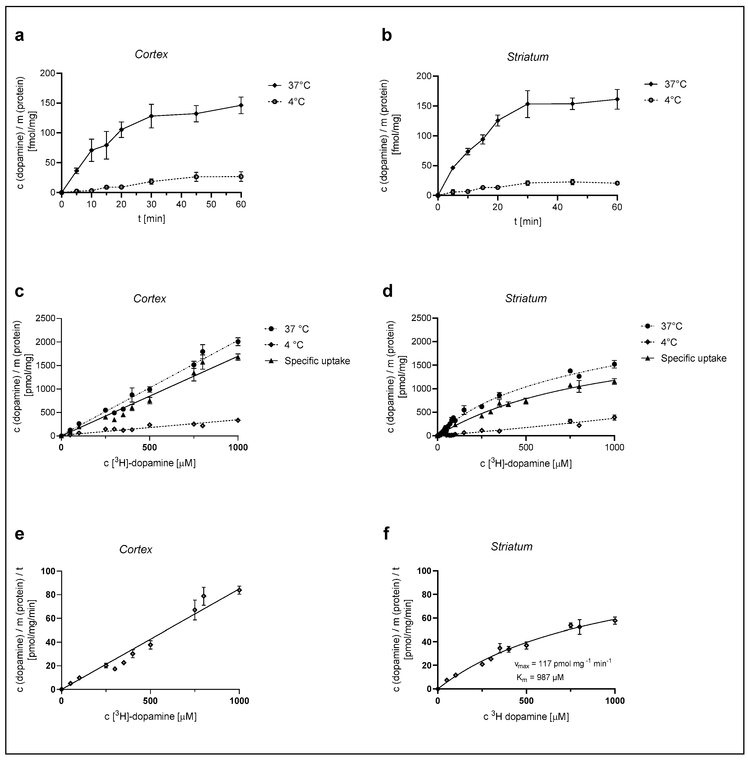 Ijms 25 00911 g001 Ijms 25 00911 g001