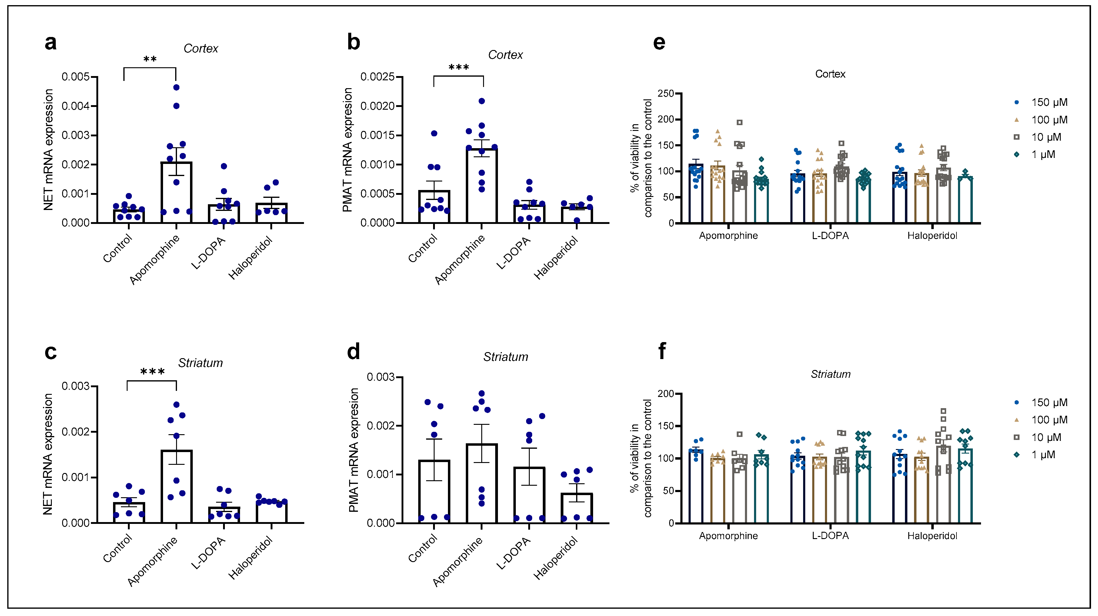 Ijms 25 00911 g005 Ijms 25 00911 g005