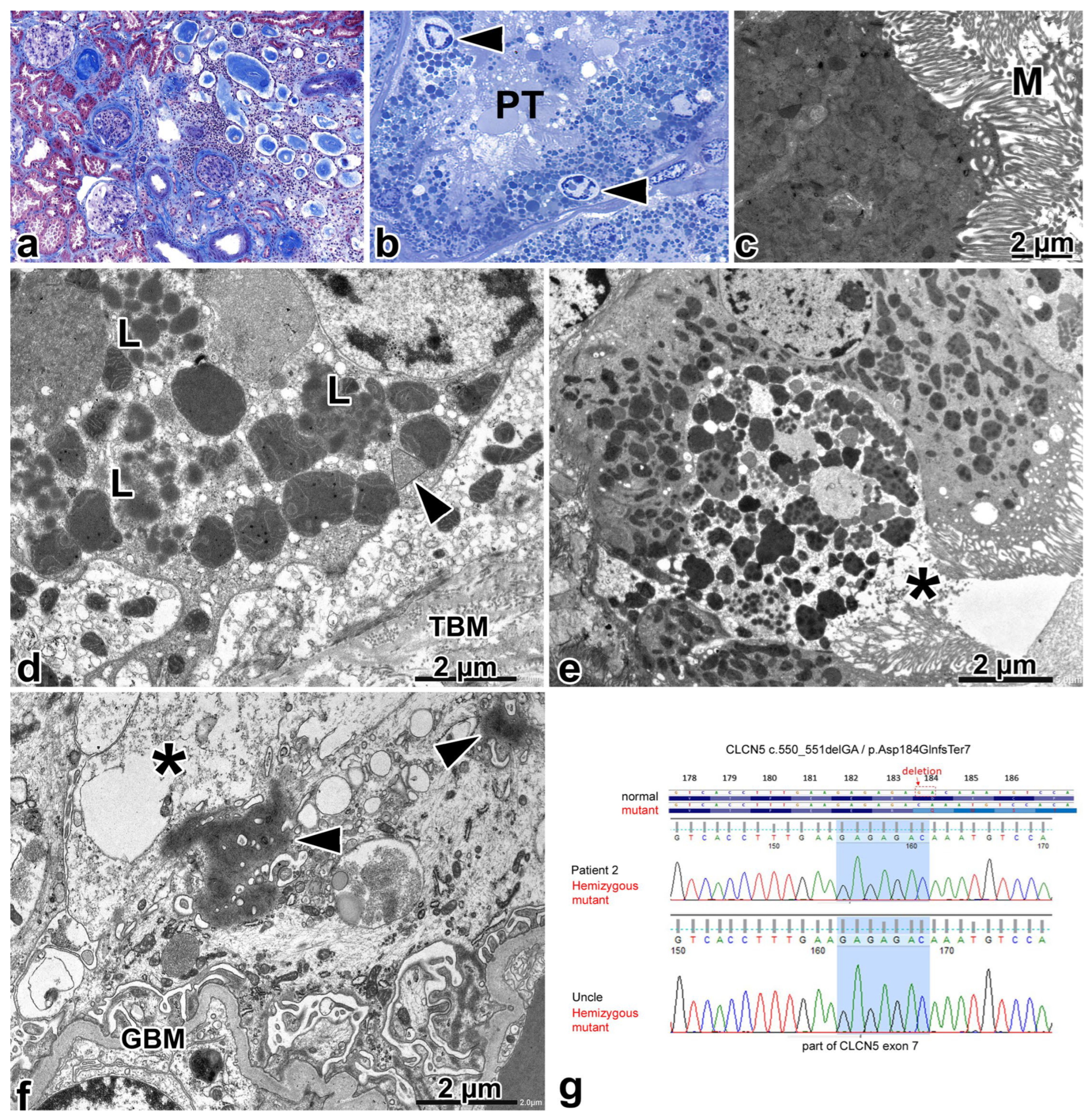 Ijms 25 00966 g003 Ijms 25 00966 g003