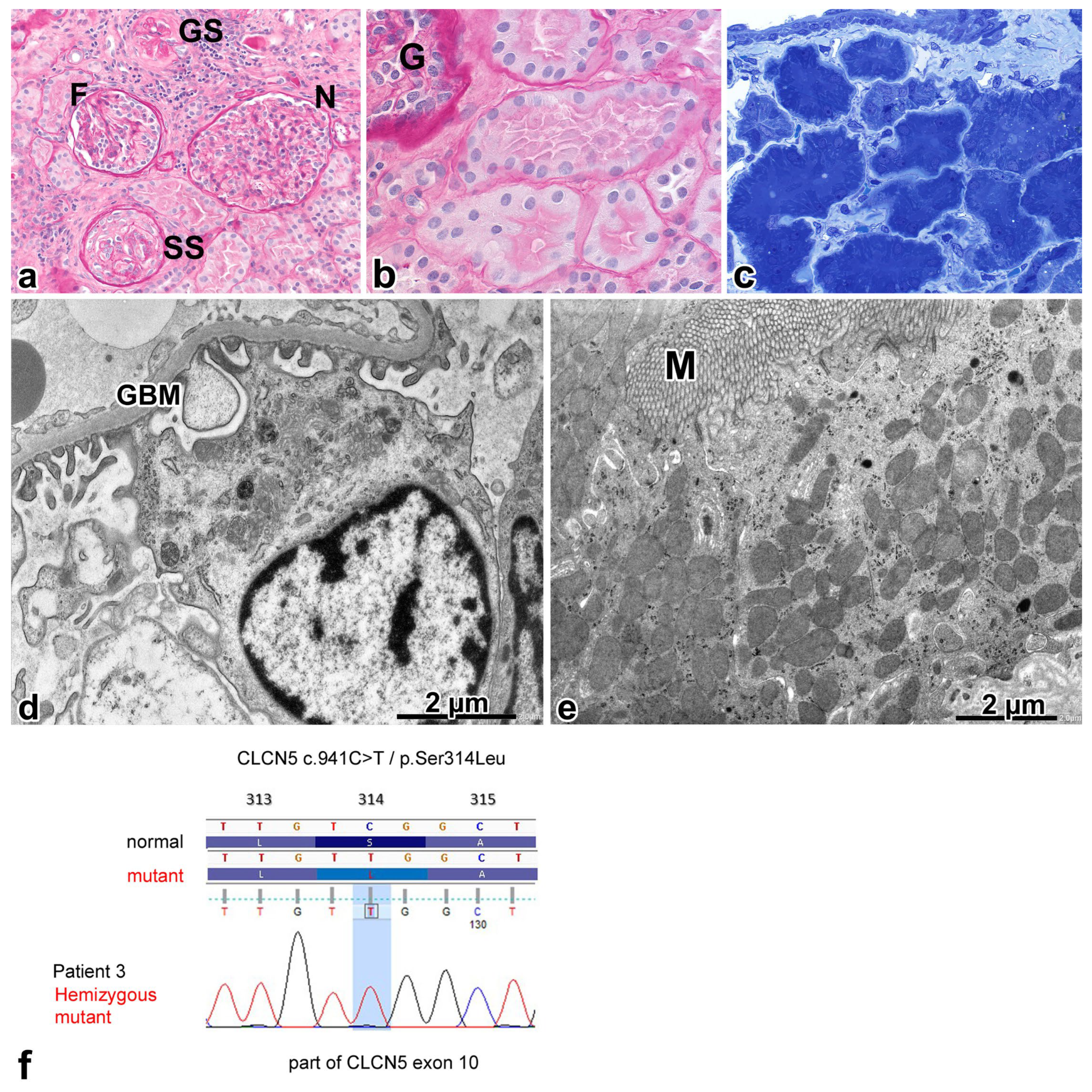 Ijms 25 00966 g004 Ijms 25 00966 g004