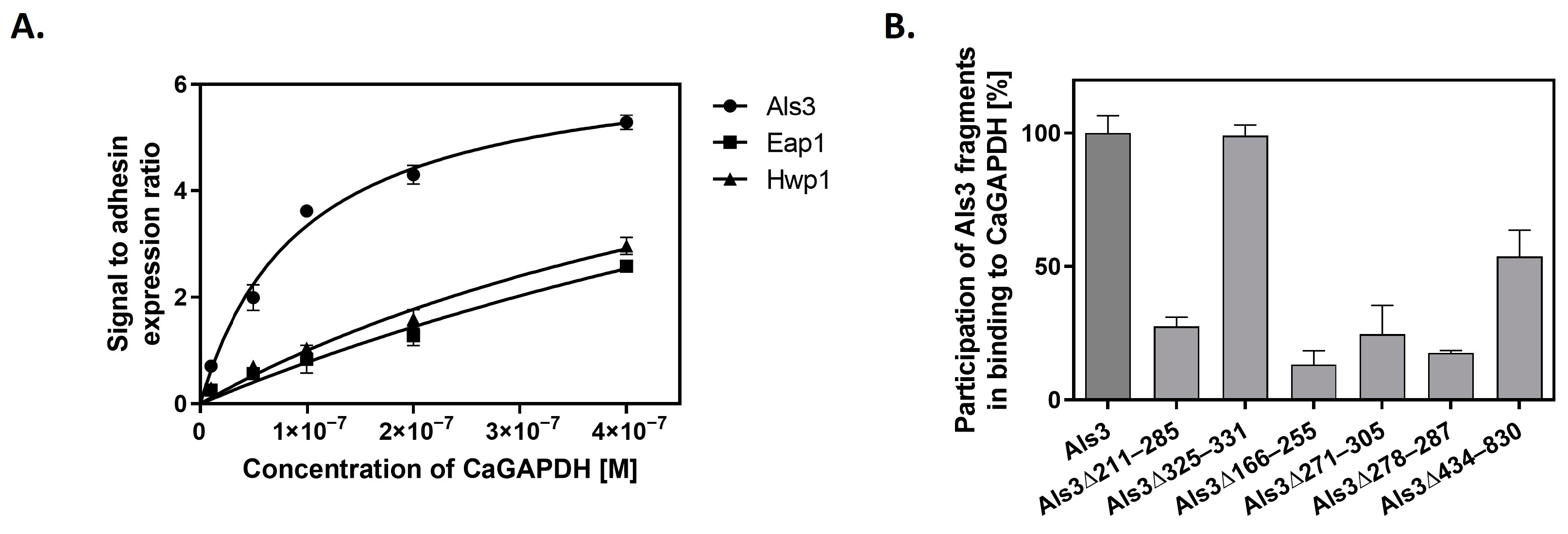 Ijms Free Full Text Glyceraldehyde 3 Phosphate Dehydrogenase On The