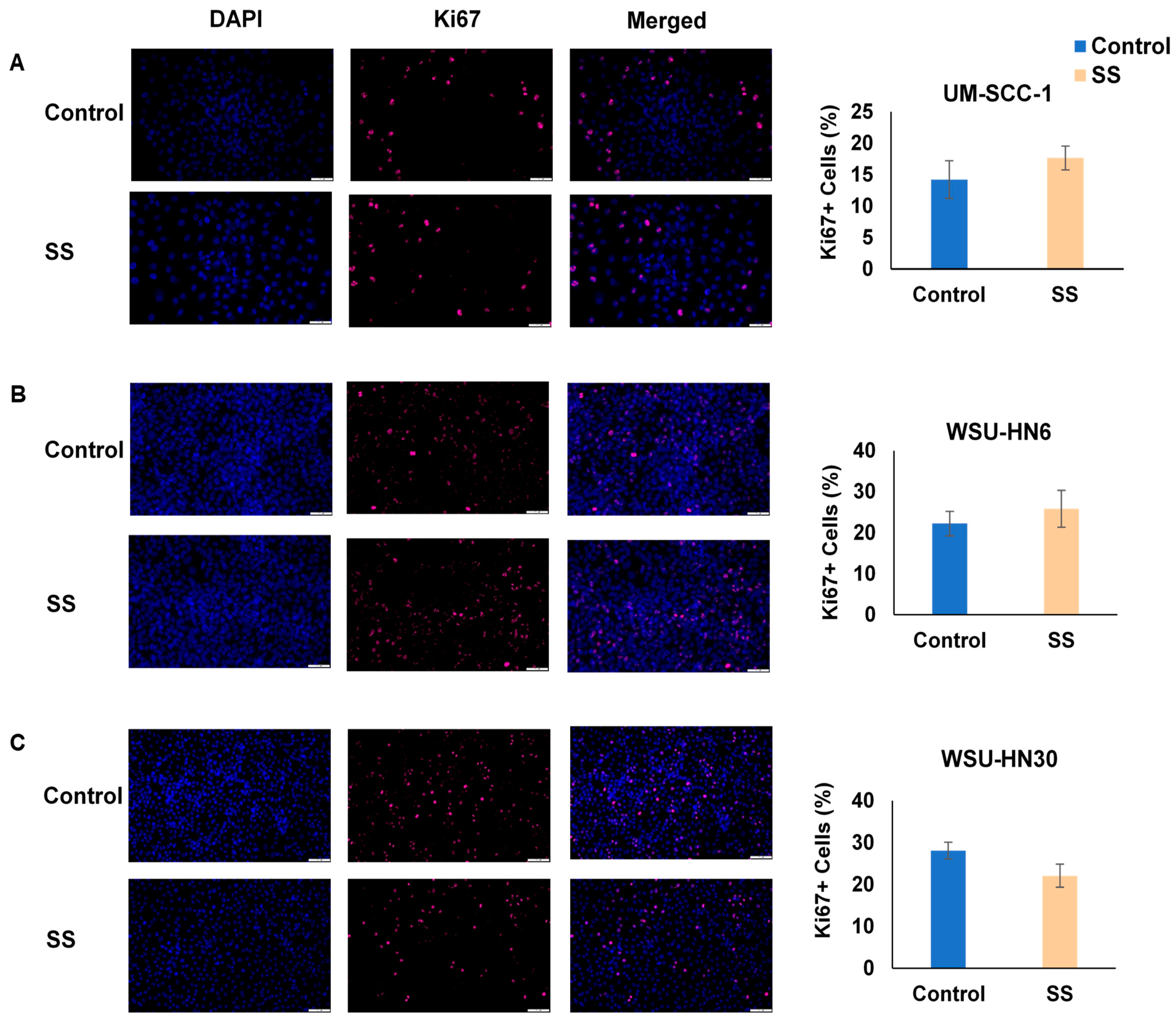 Ijms 25 01032 g003 Ijms 25 01032 g003