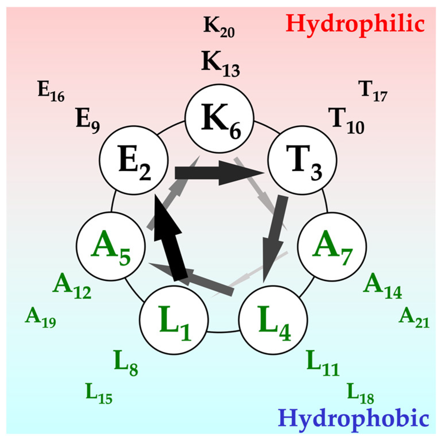 IJMS | Free Full-Text | Structural Analyses of Designed