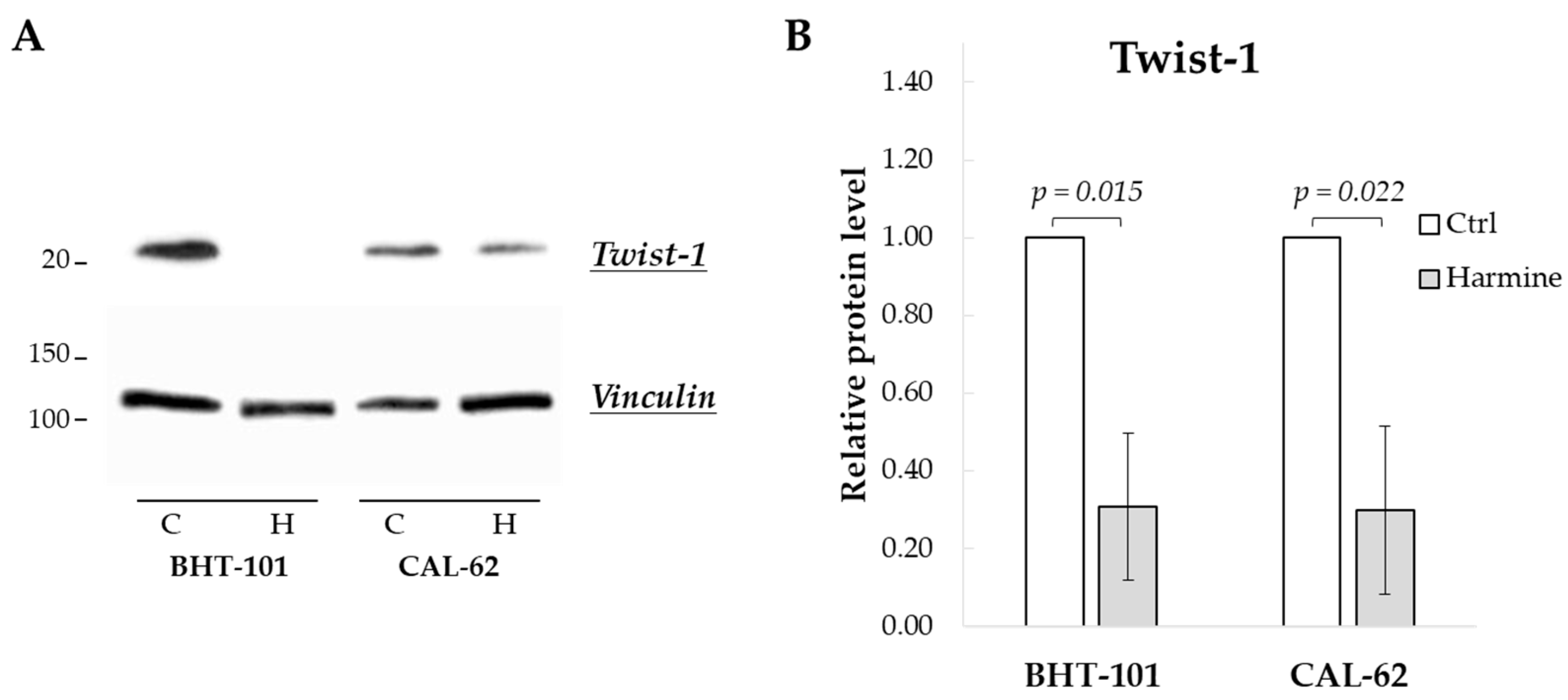 Ijms 25 01121 g001 Ijms 25 01121 g001