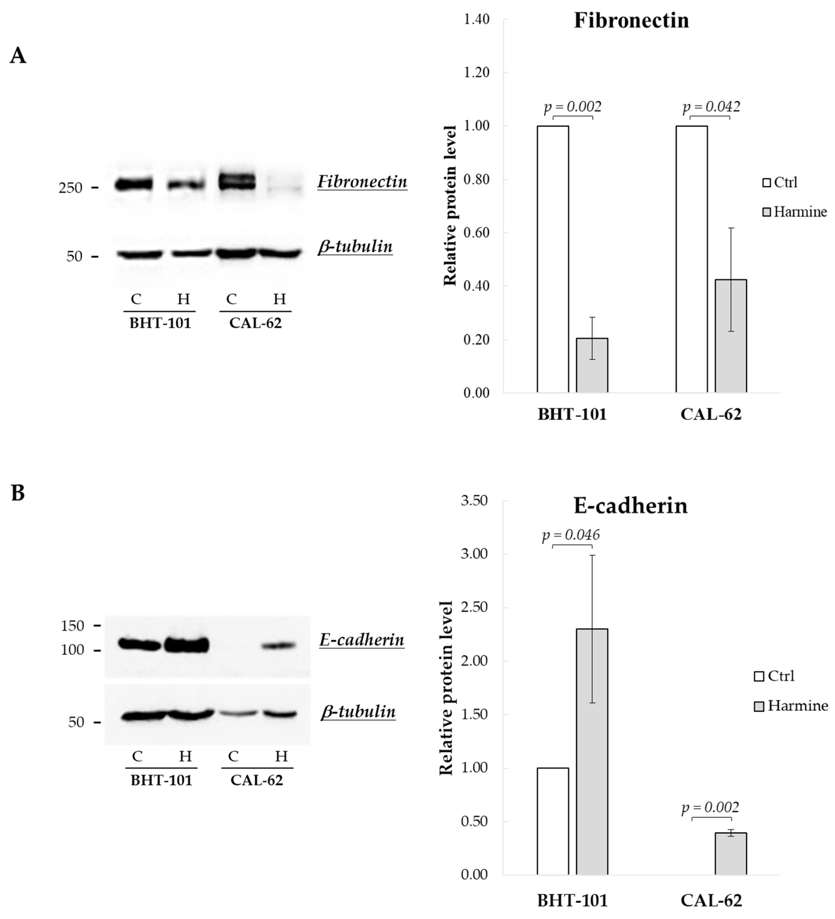 Ijms 25 01121 g002 Ijms 25 01121 g002