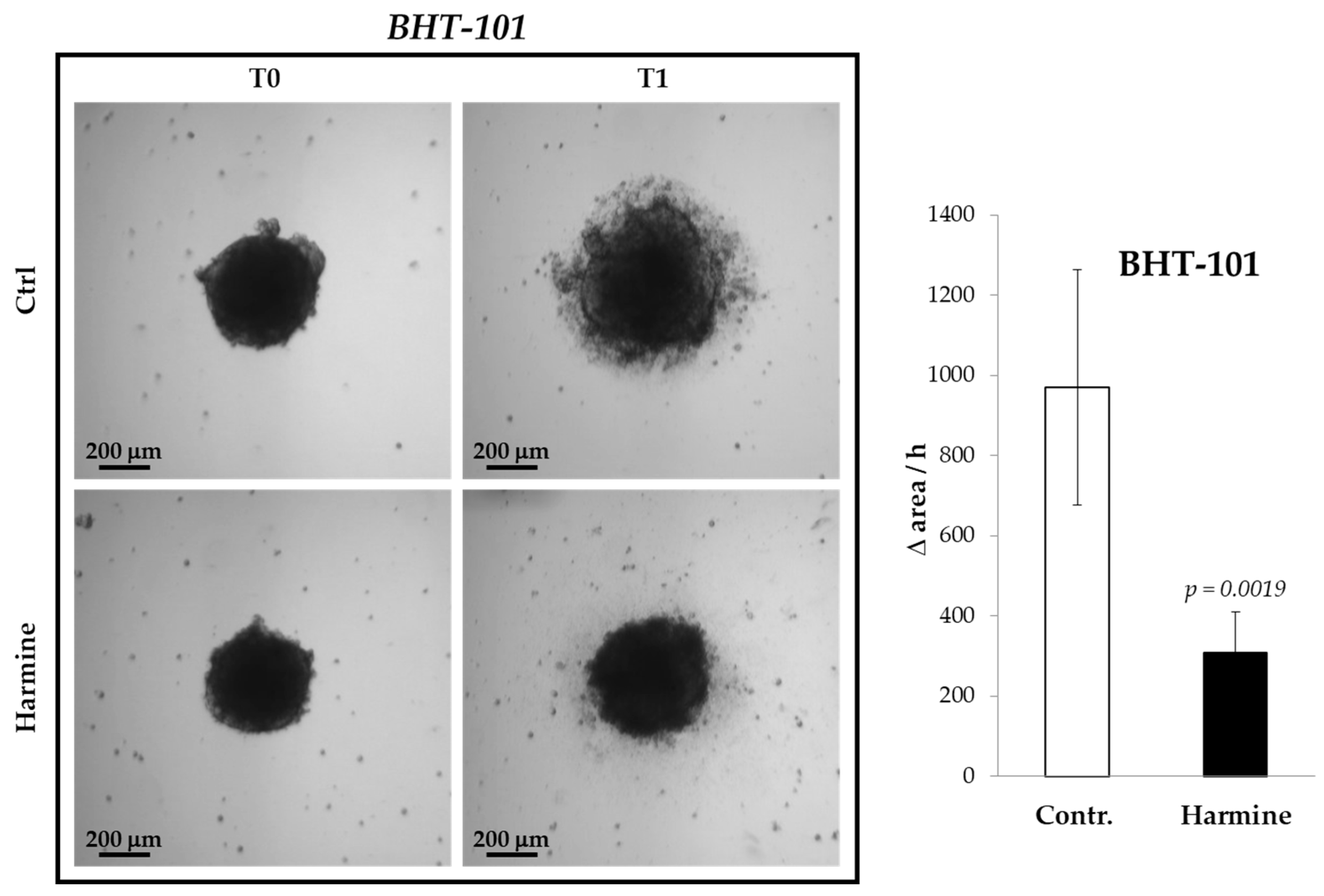 Ijms 25 01121 g004 Ijms 25 01121 g004