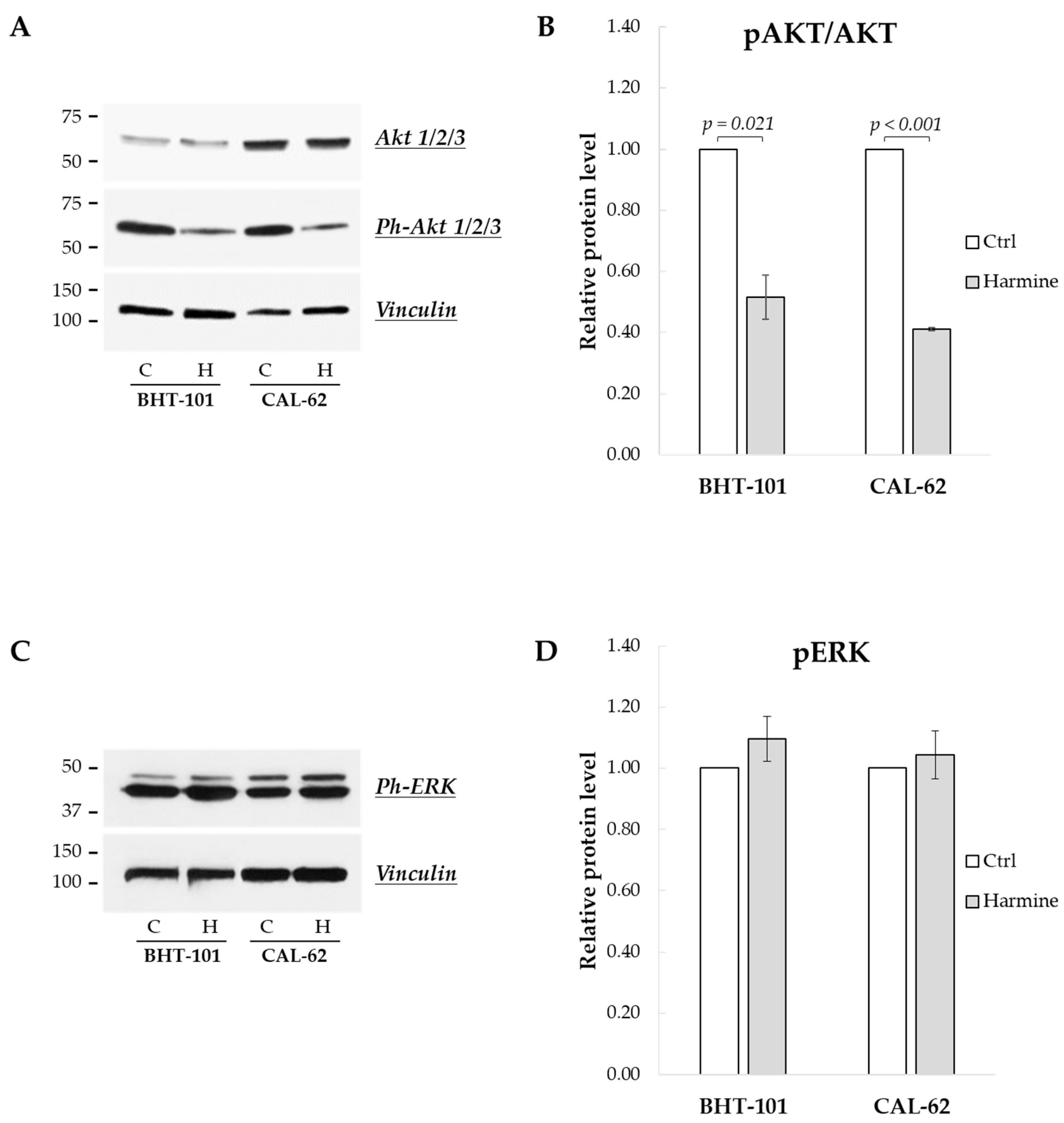 Ijms 25 01121 g009 Ijms 25 01121 g009