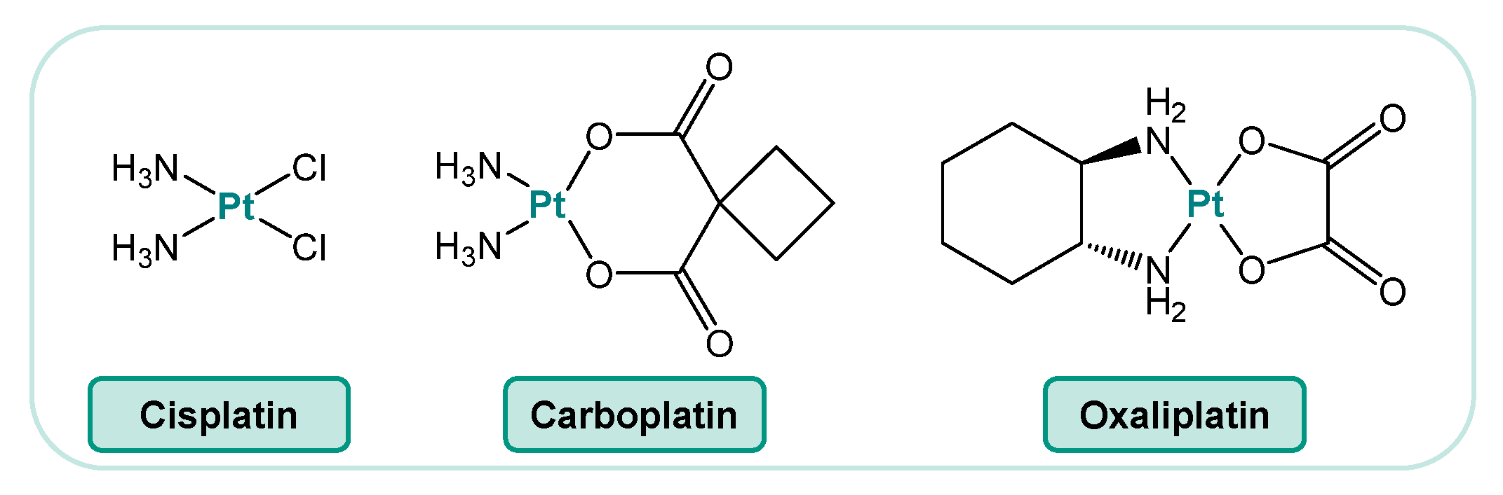 Ijms 25 01130 g001 Ijms 25 01130 g001