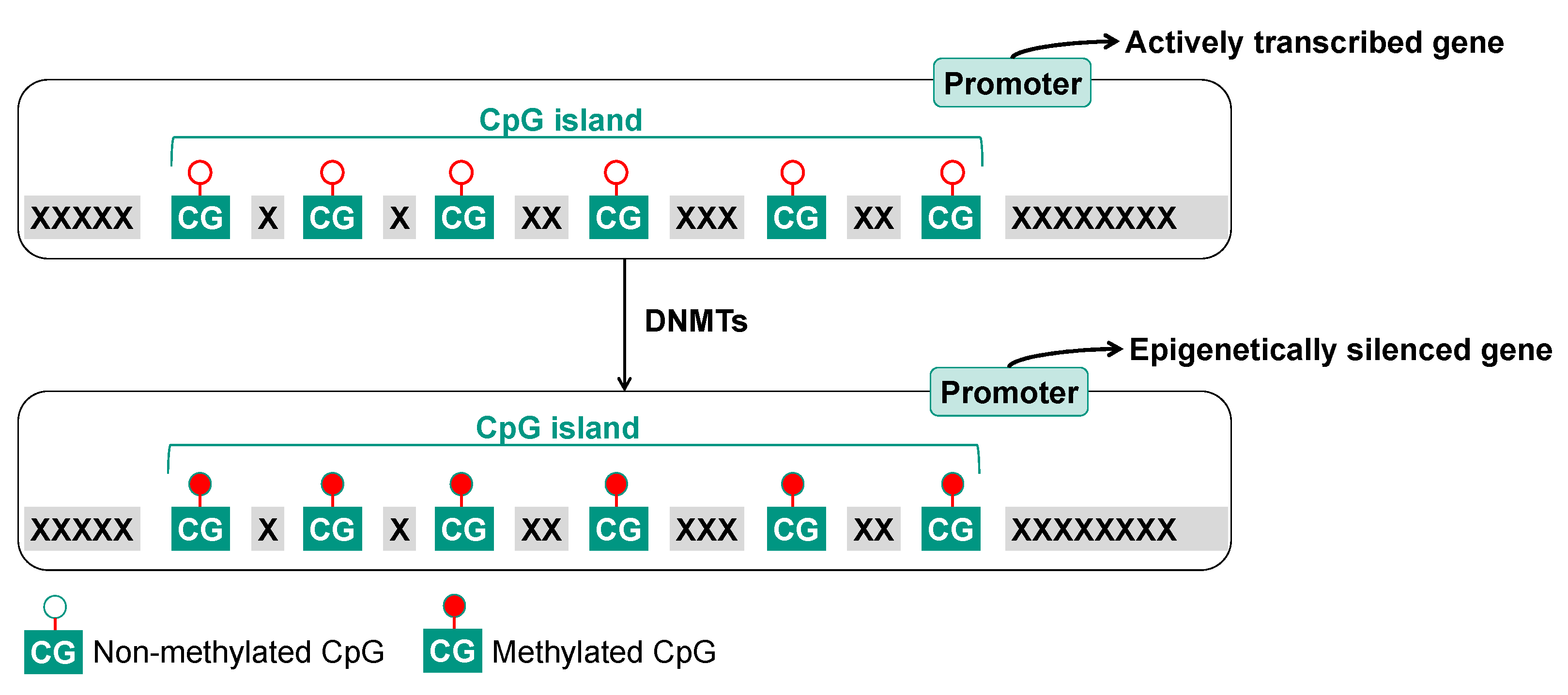 Ijms 25 01130 g004 Ijms 25 01130 g004