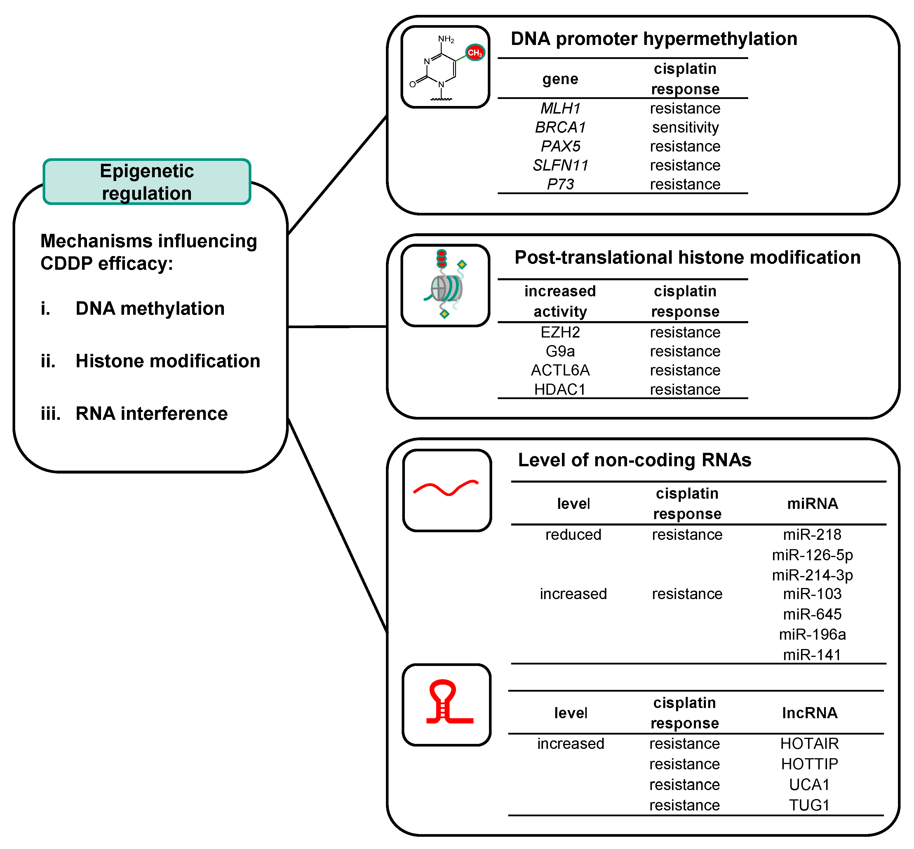 Ijms 25 01130 g006 Ijms 25 01130 g006
