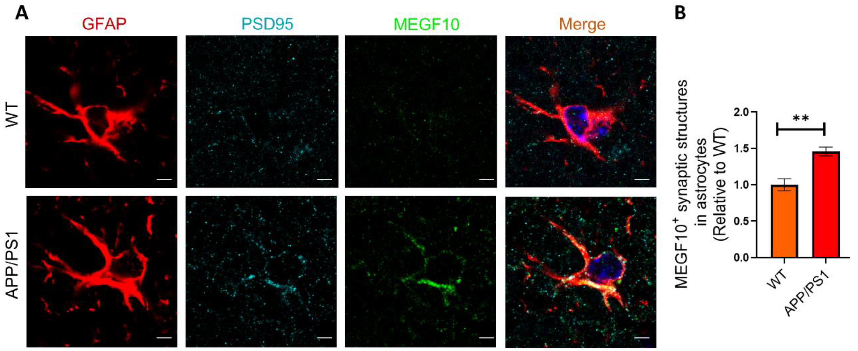 Ijms 25 01160 g006
