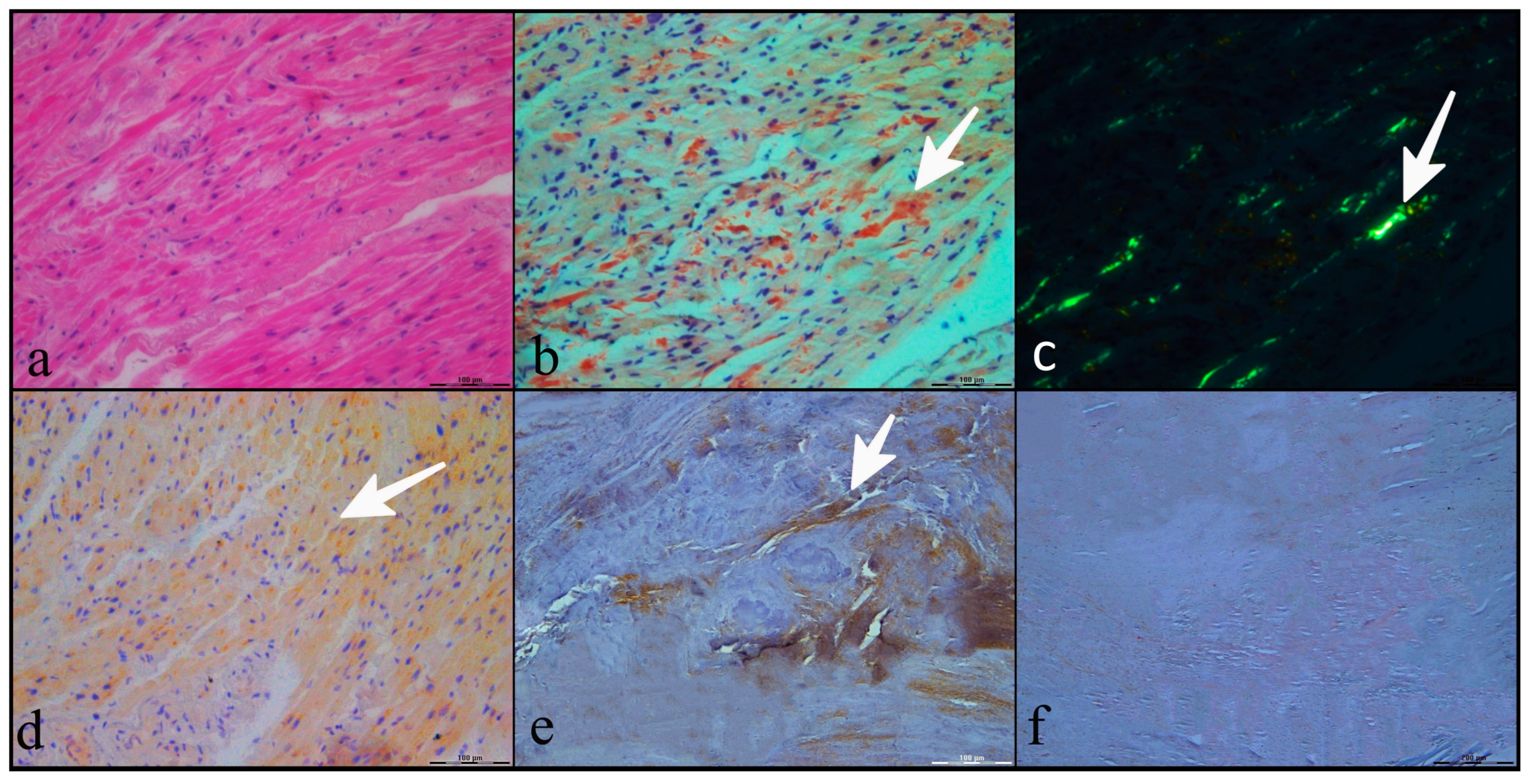 Ijms 25 01171 g001 Ijms 25 01171 g001