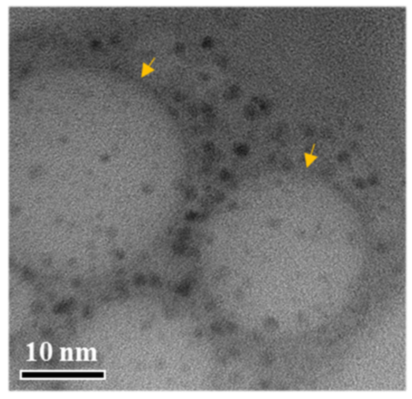 Ijms 25 01197 g006