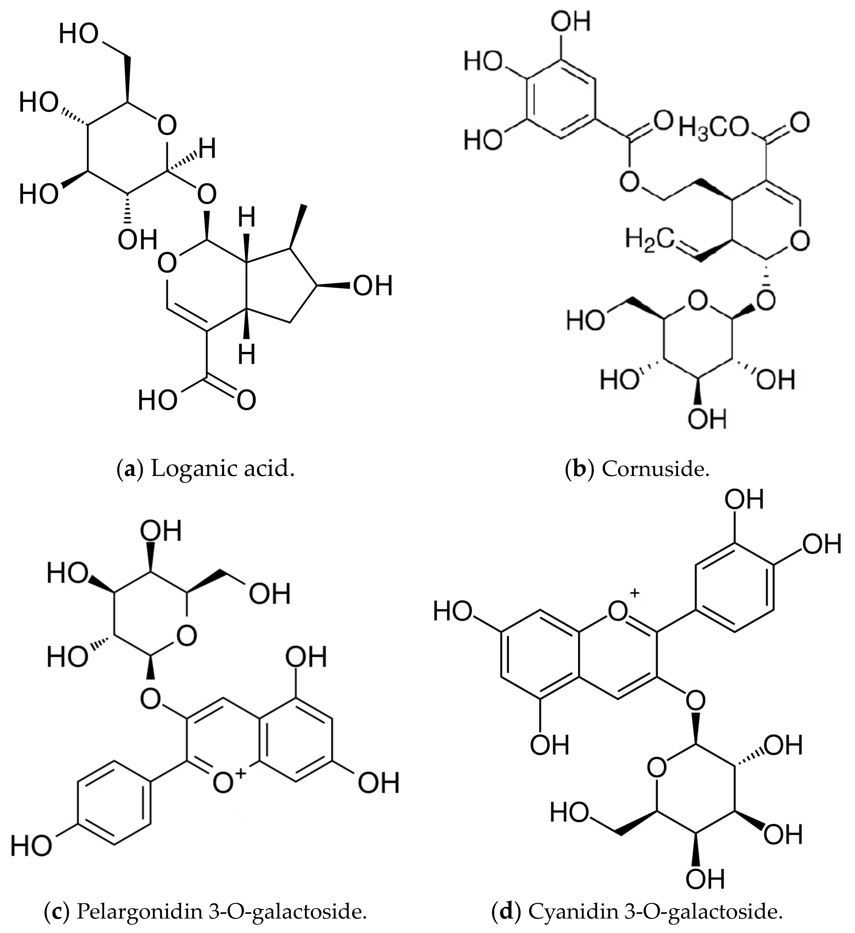 Ijms 25 01199 g006 Ijms 25 01199 g006