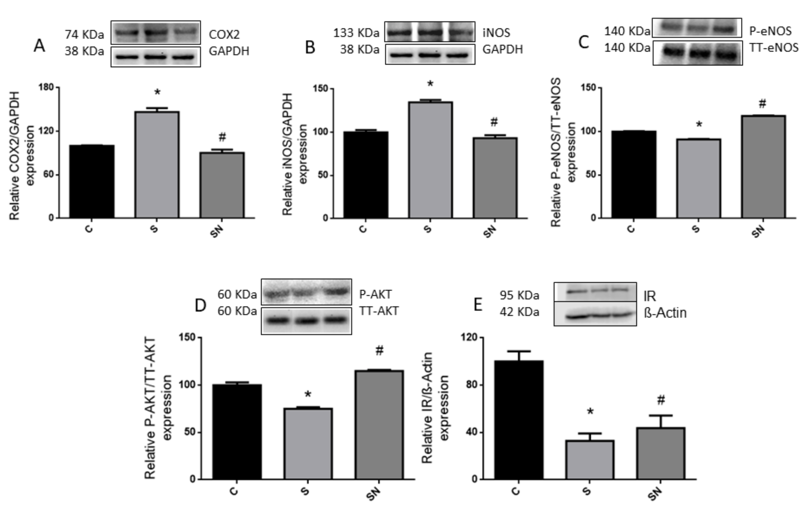Ijms 25 01215 g002 Ijms 25 01215 g002