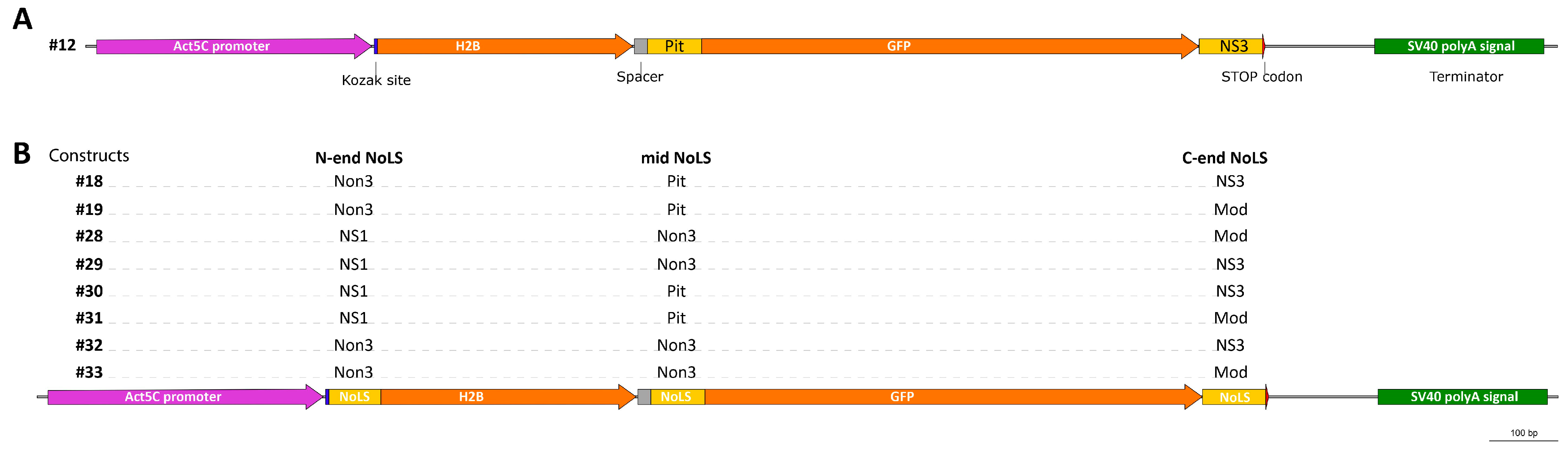 Ijms 25 01230 g004 Ijms 25 01230 g004