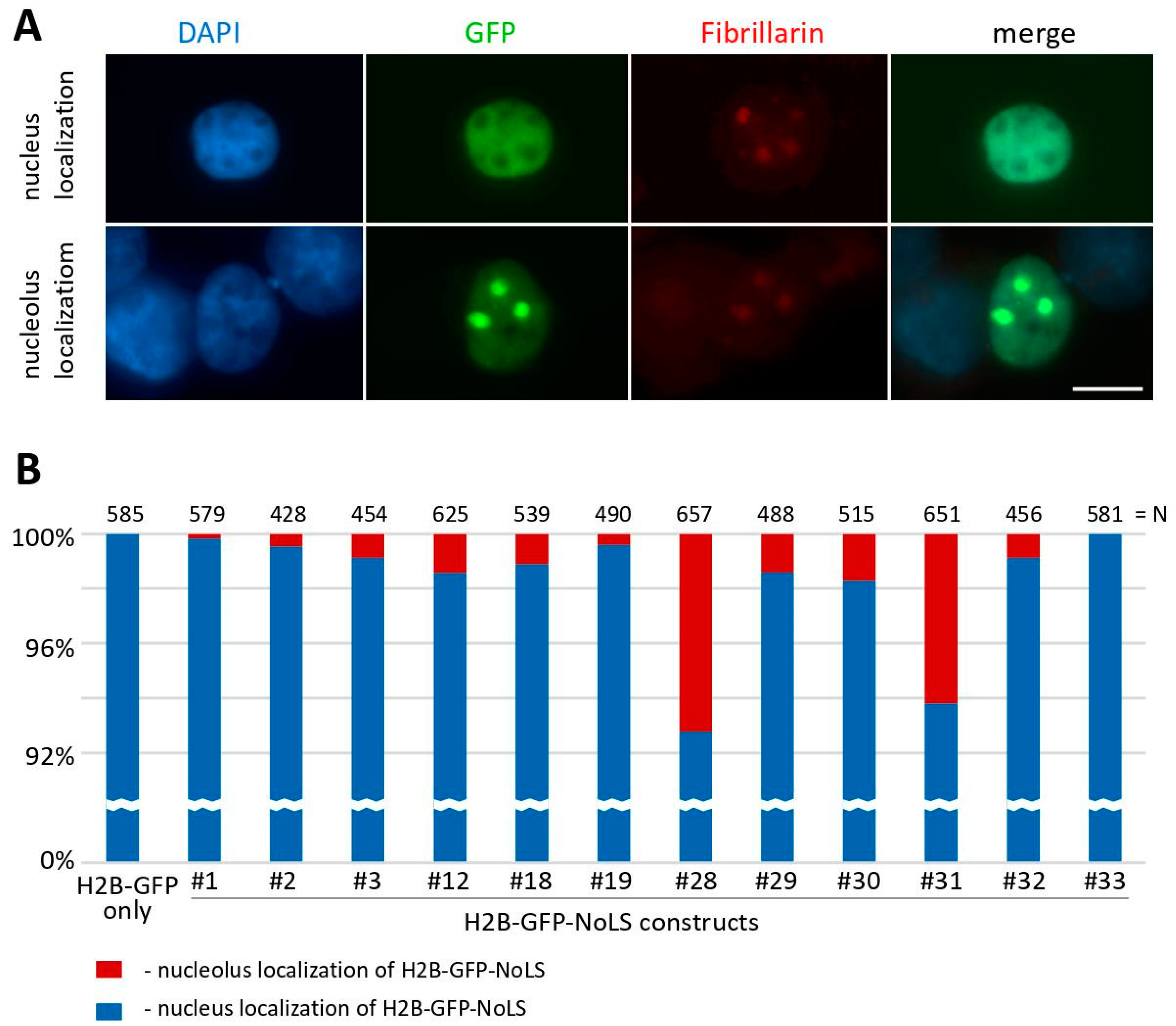 Ijms 25 01230 g006 Ijms 25 01230 g006