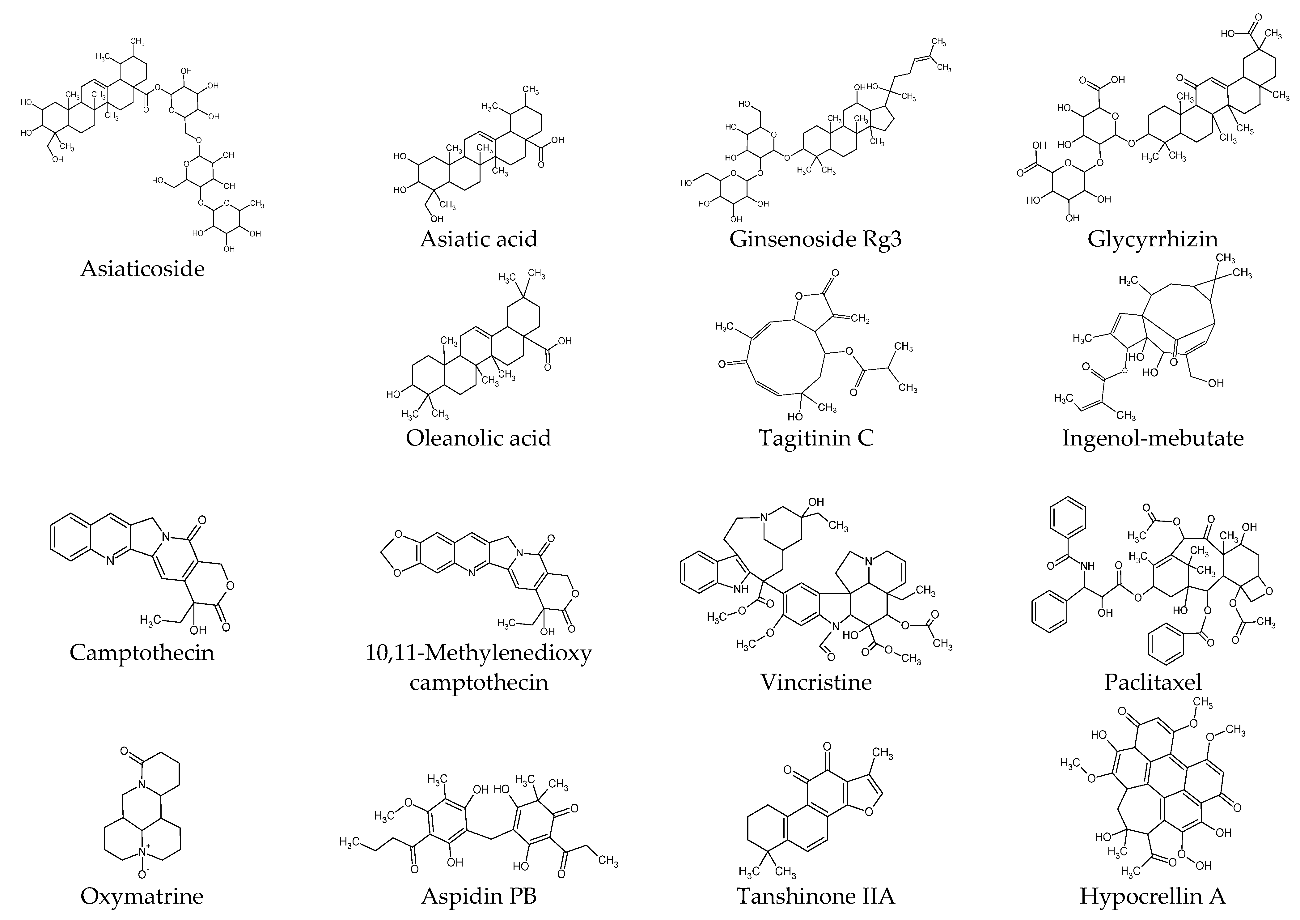 Ijms 25 01235 g002b Ijms 25 01235 g002b
