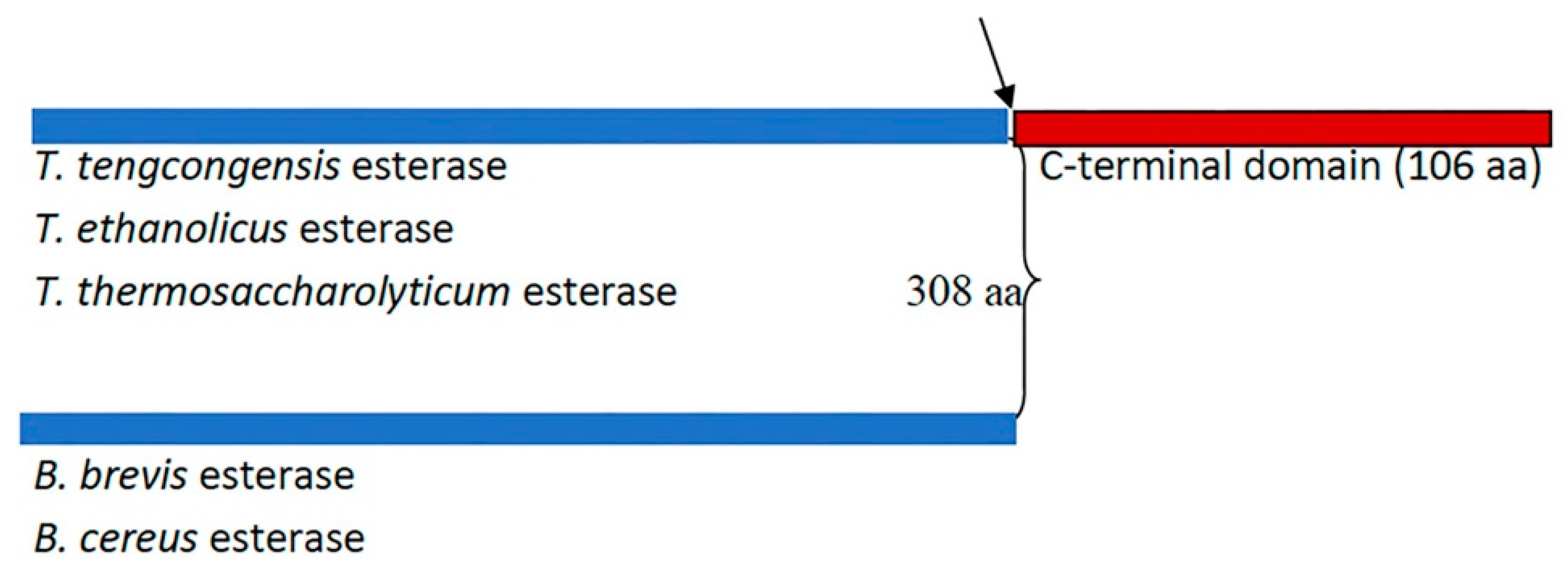 Ijms 25 01272 g001 Ijms 25 01272 g001