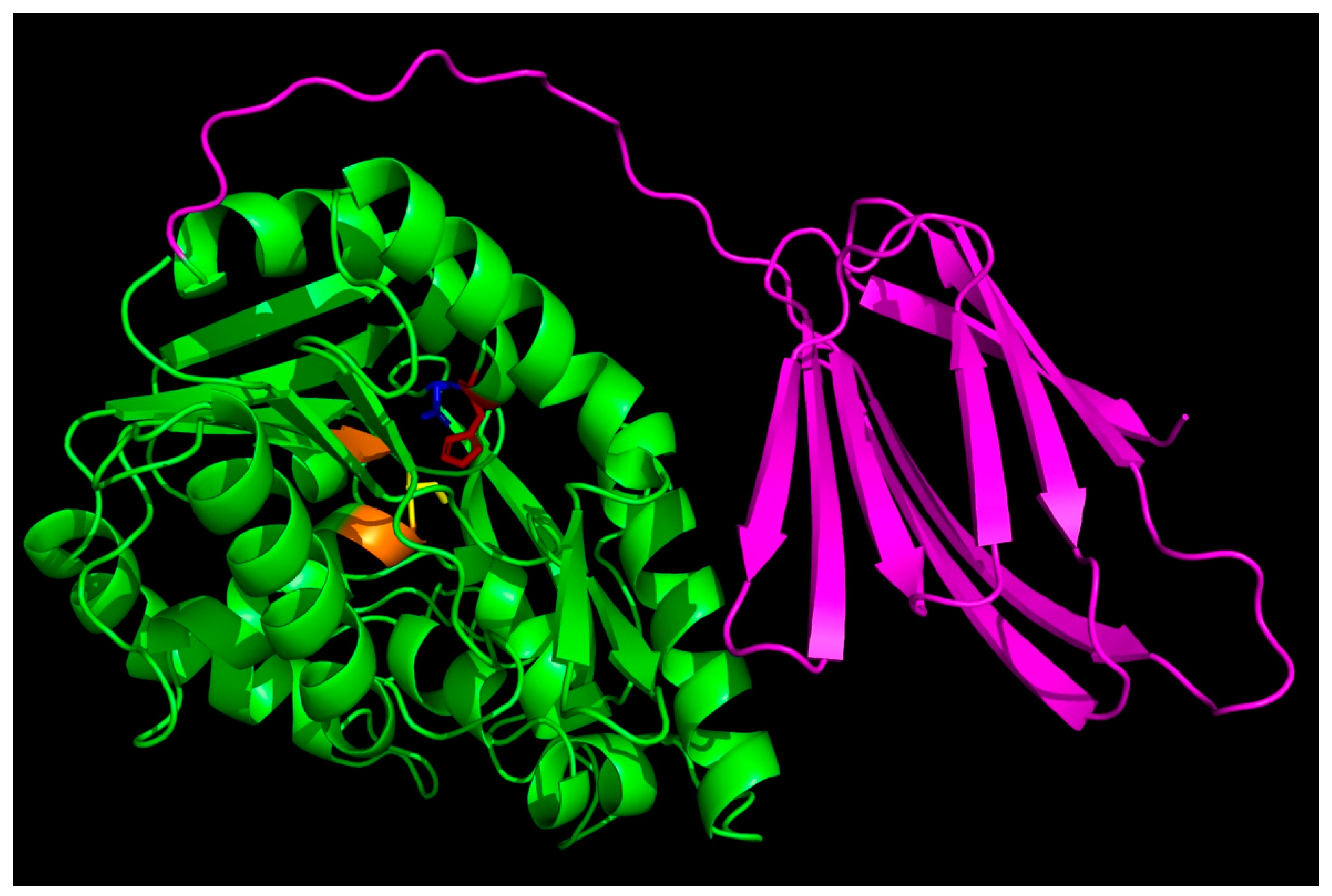 Ijms 25 01272 g002 Ijms 25 01272 g002