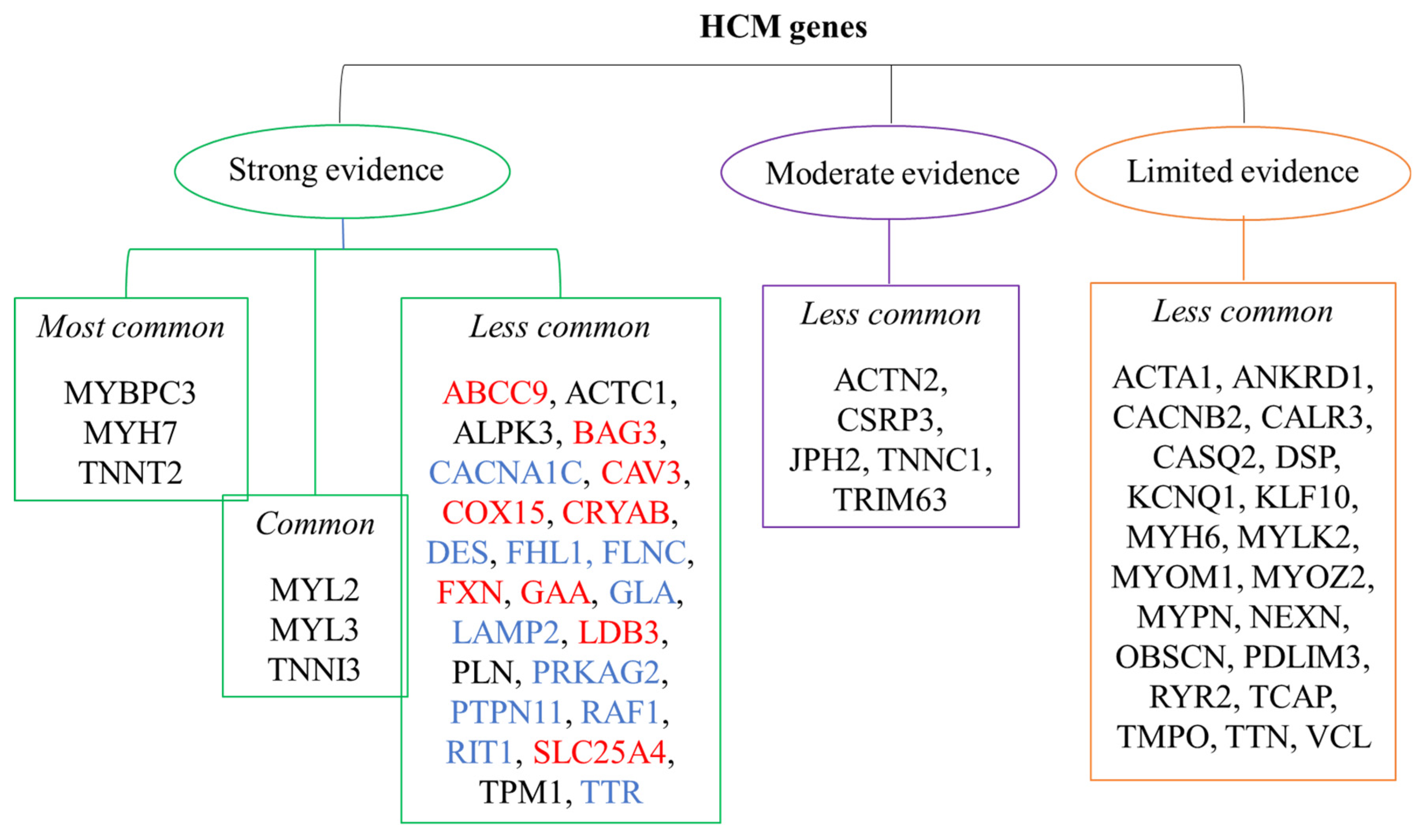 Ijms 25 01275 g002 Ijms 25 01275 g002