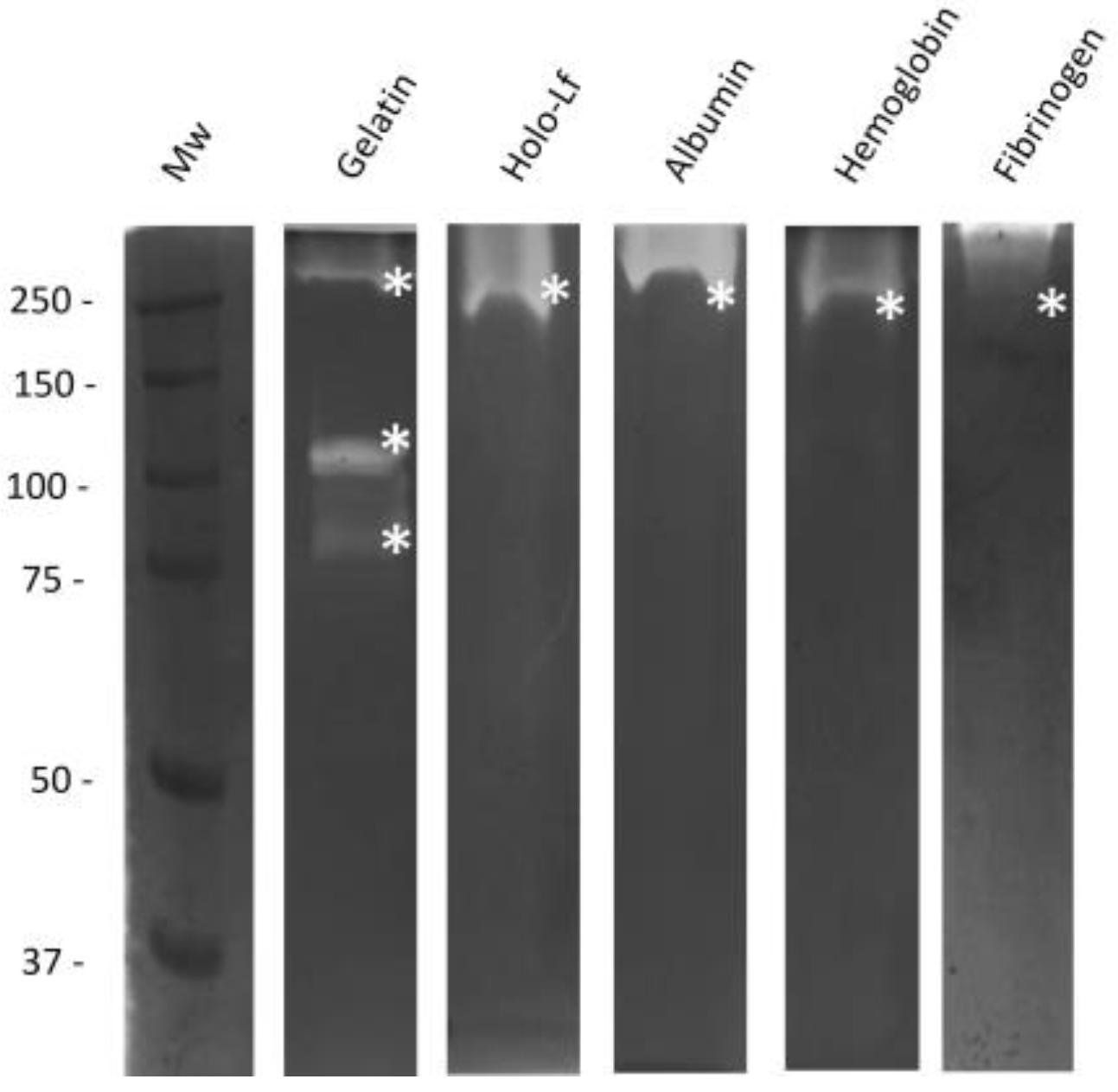 Ijms 25 01289 g002 Ijms 25 01289 g002