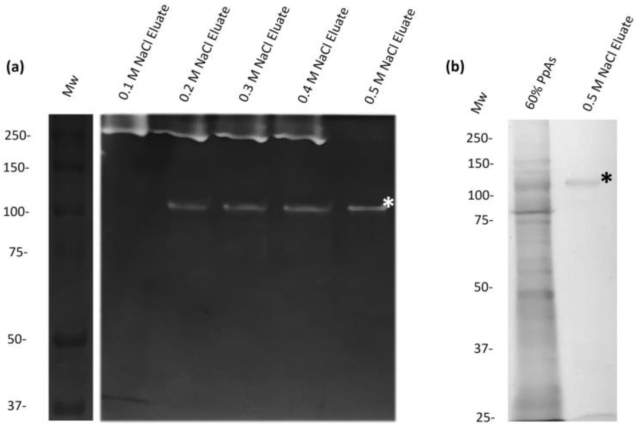 Ijms 25 01289 g003 Ijms 25 01289 g003