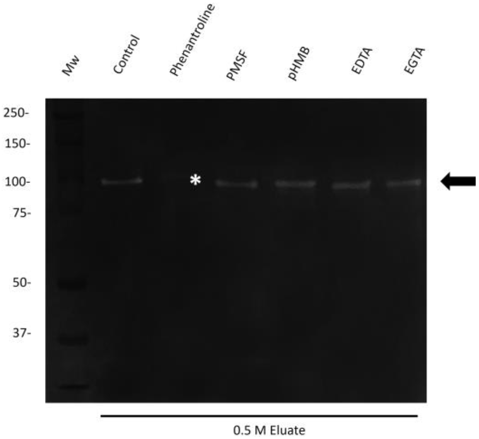 Ijms 25 01289 g005 Ijms 25 01289 g005