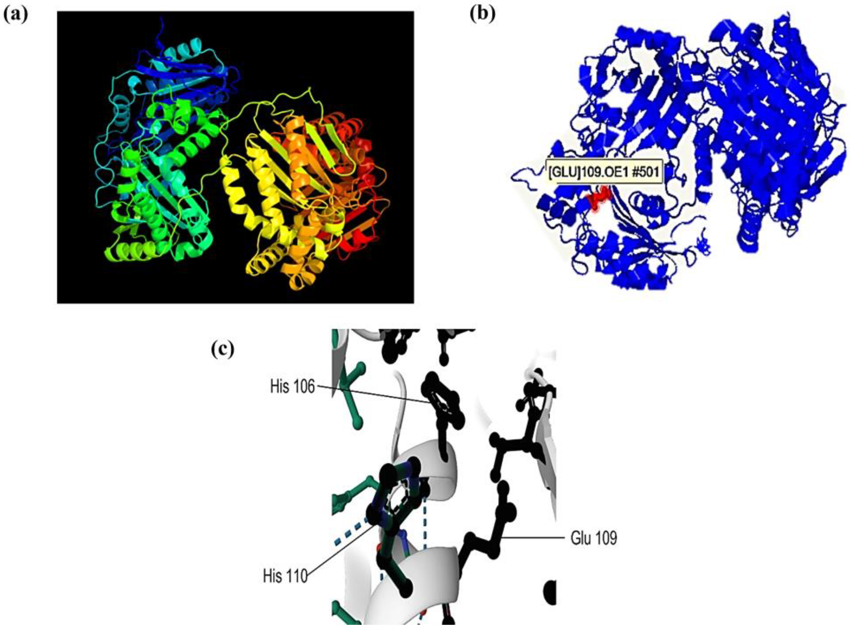Ijms 25 01289 g006 Ijms 25 01289 g006