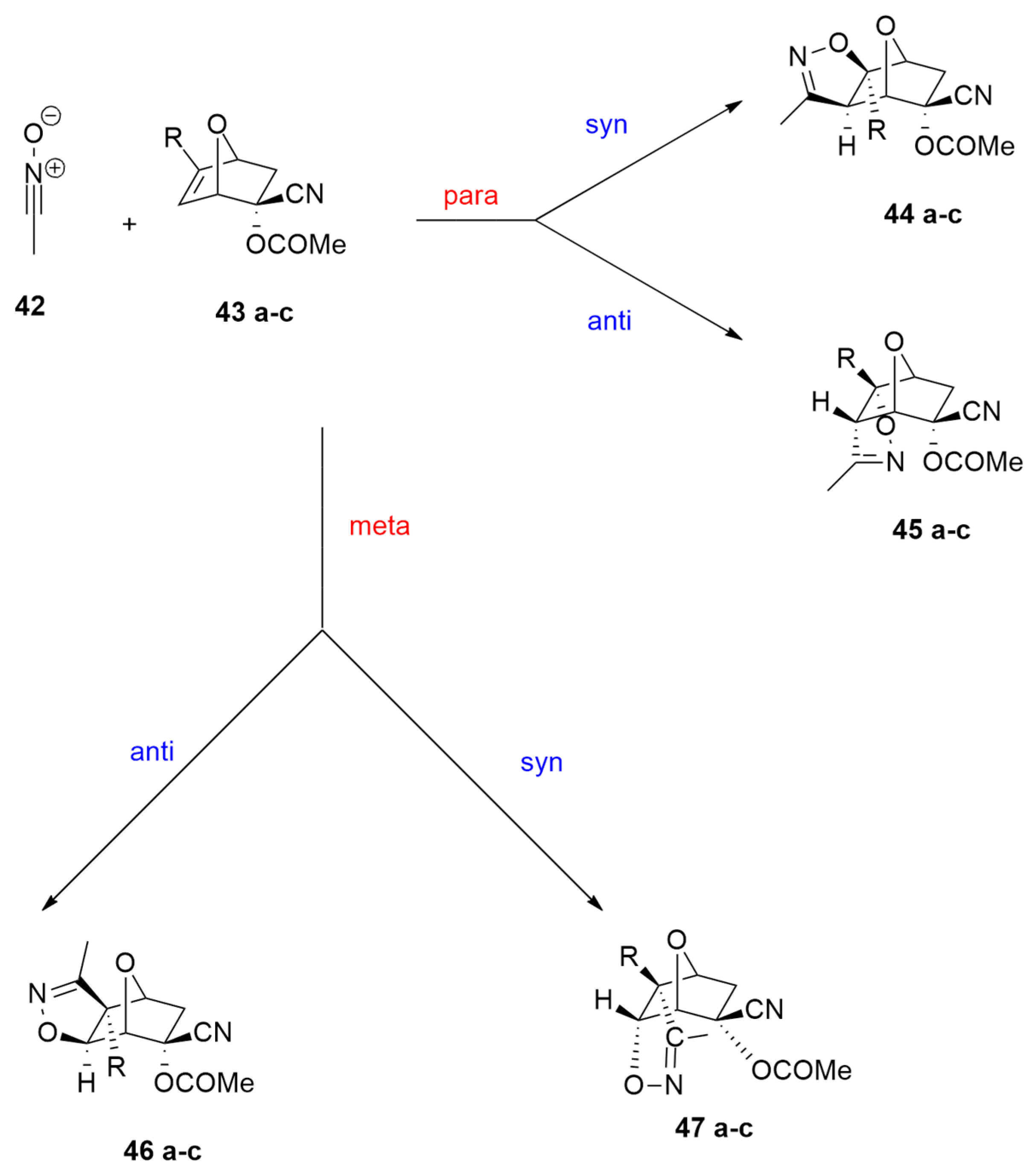 Ijms 25 01298 sch016