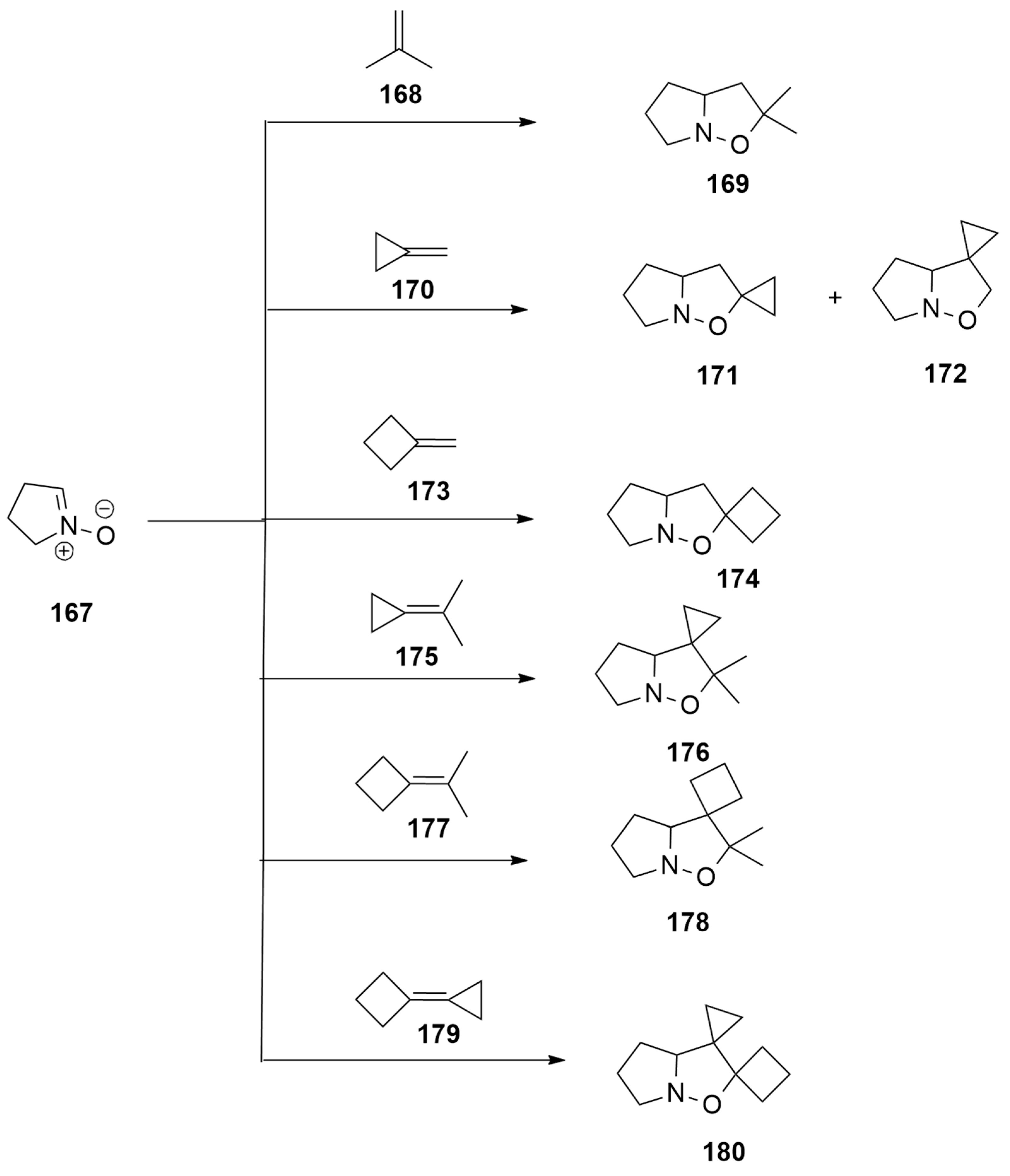 Ijms 25 01298 sch047