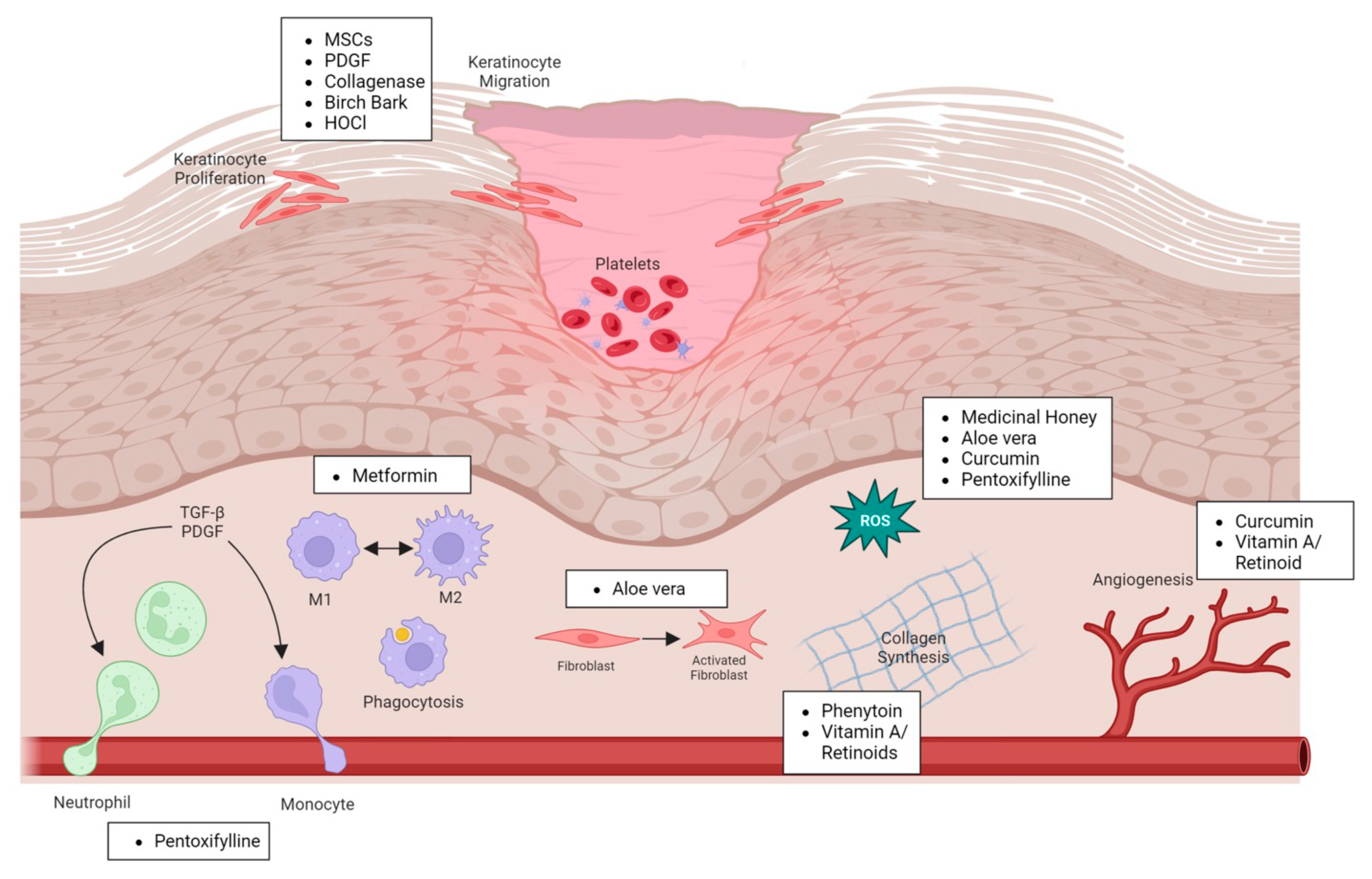 Ijms 25 01304 g002 Ijms 25 01304 g002