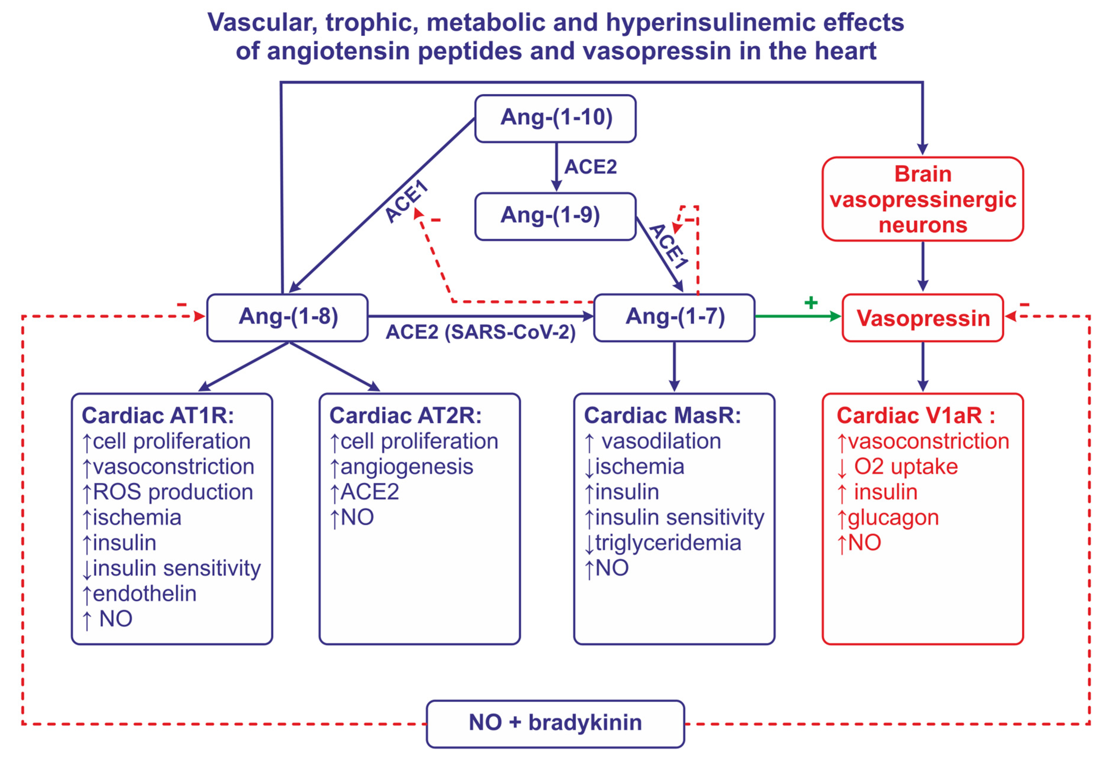 Ijms 25 01310 g001 Ijms 25 01310 g001