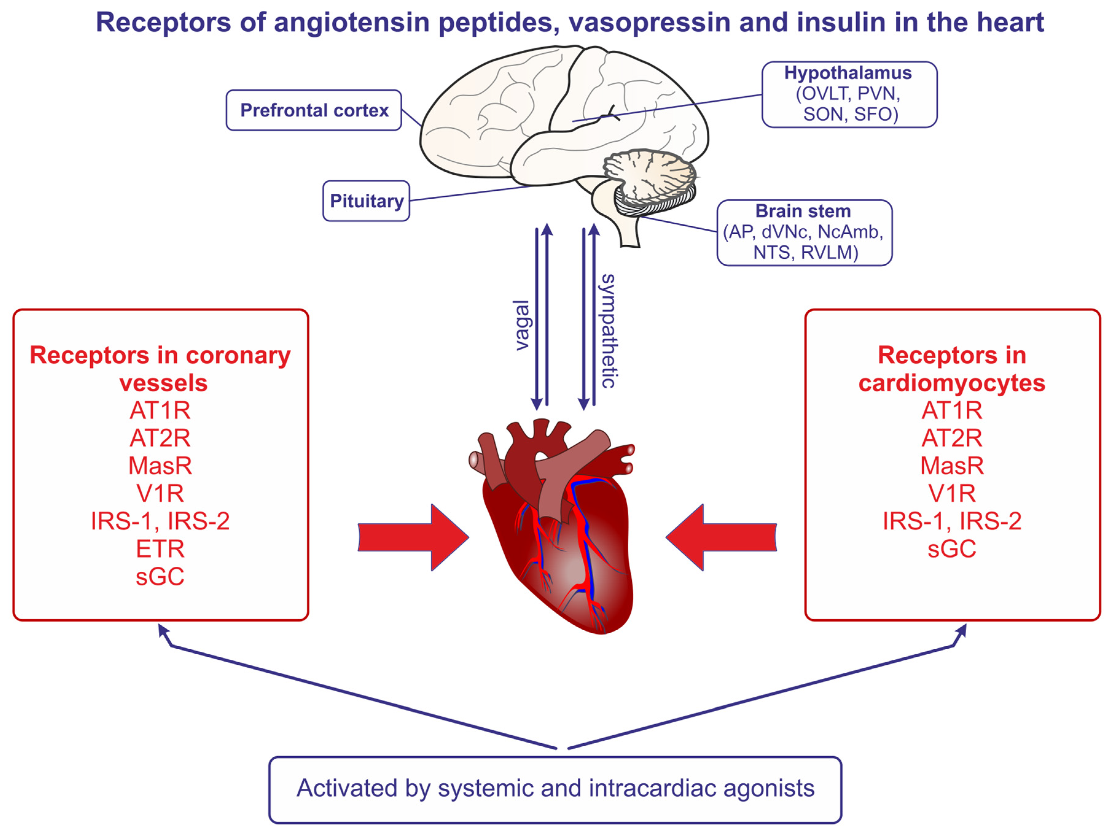 Ijms 25 01310 g002 Ijms 25 01310 g002