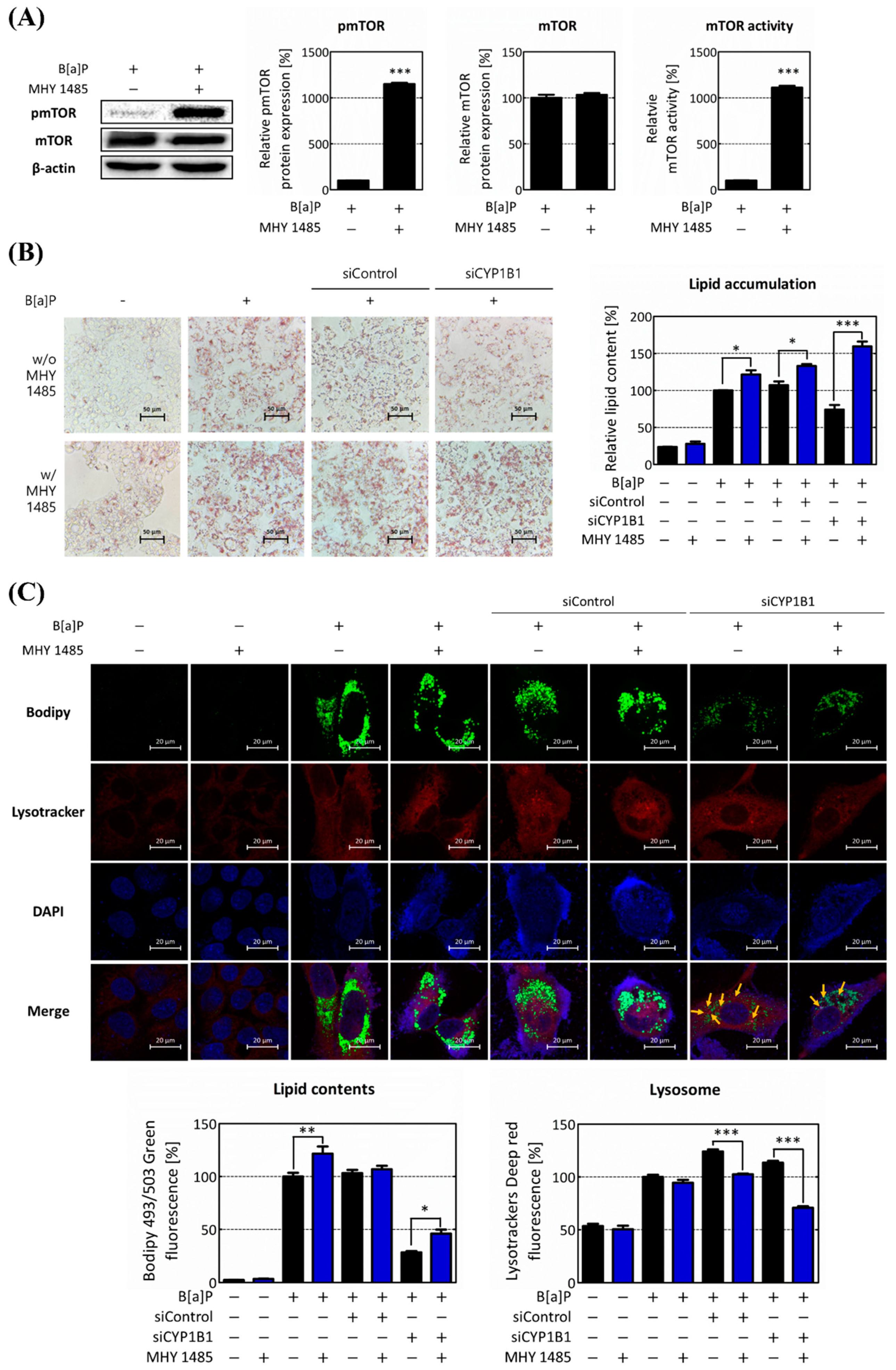 Ijms 25 01324 g006