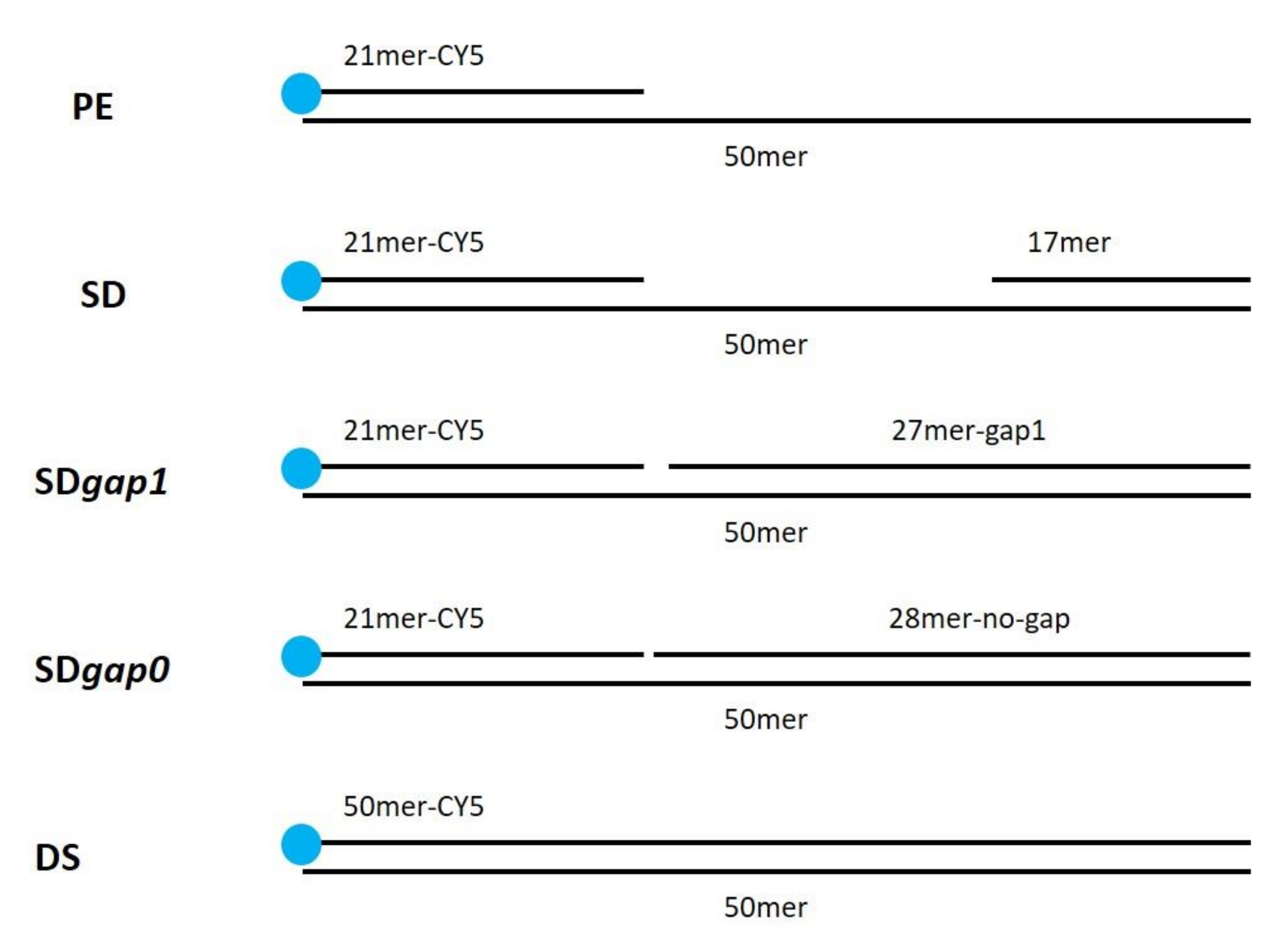 Ijms 25 01392 g014 Ijms 25 01392 g014