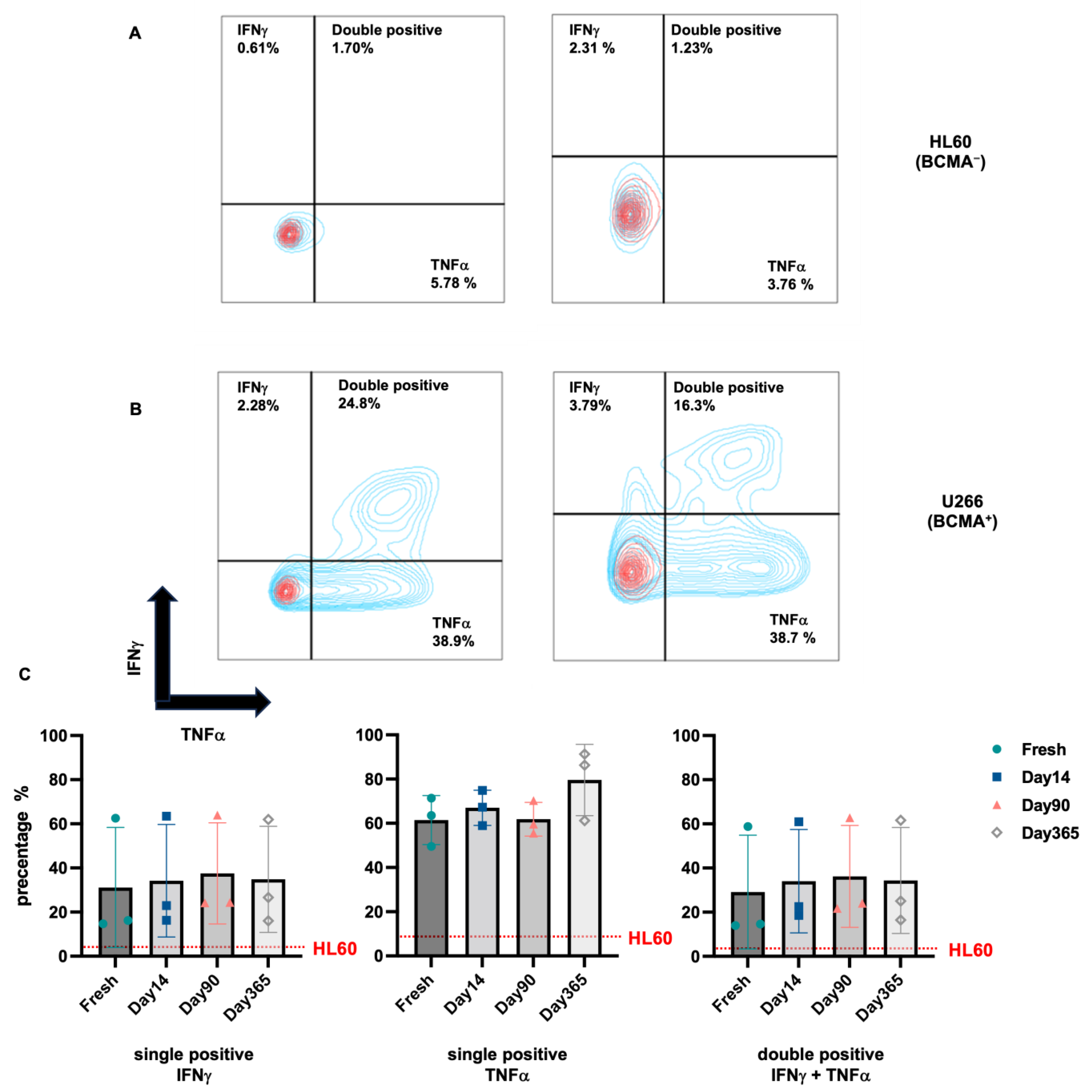 IJMS | Free Full-Text | In Vitro Functionality And Endurance Of GMP ...