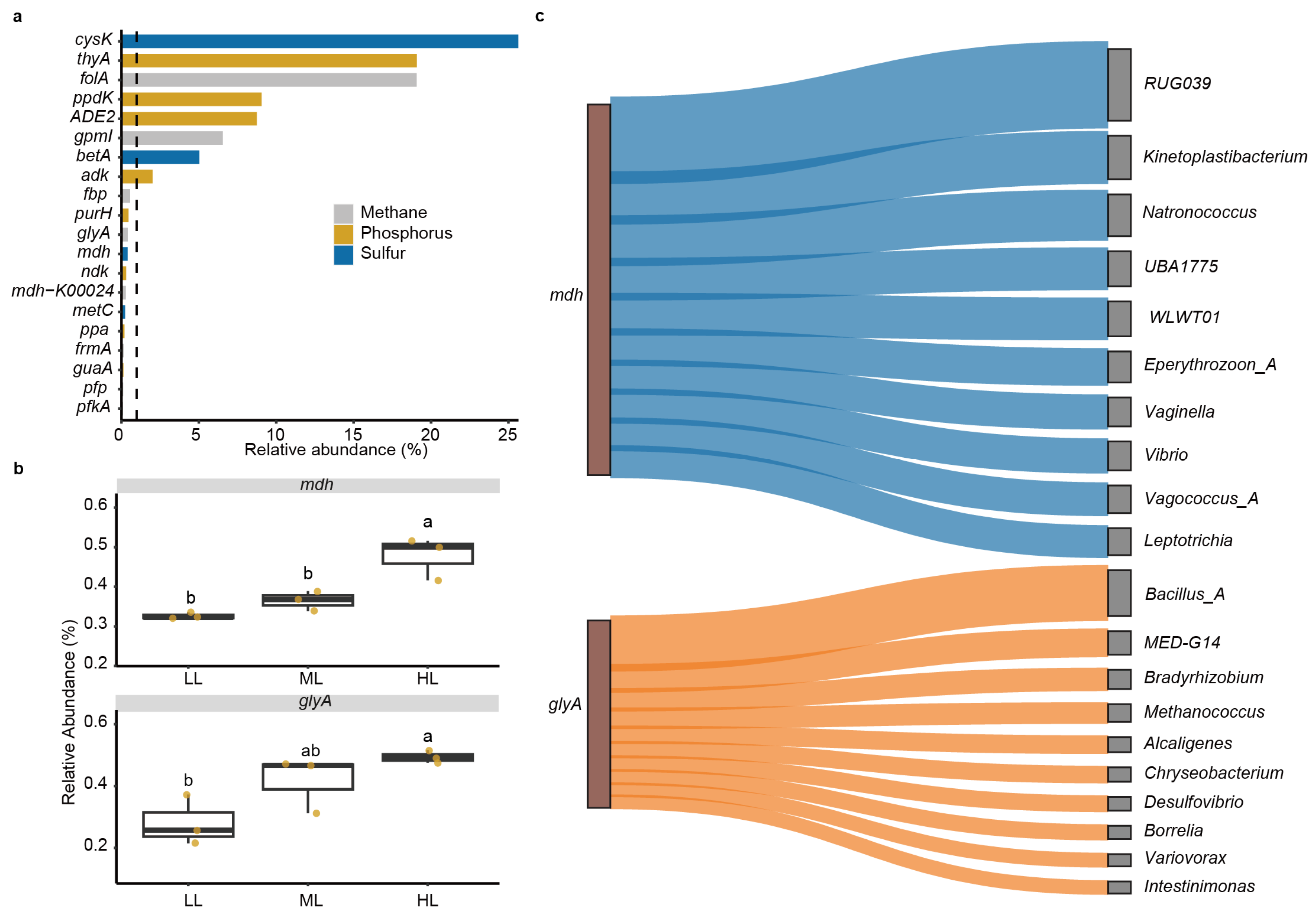 Ijms 25 01451 g004 Ijms 25 01451 g004
