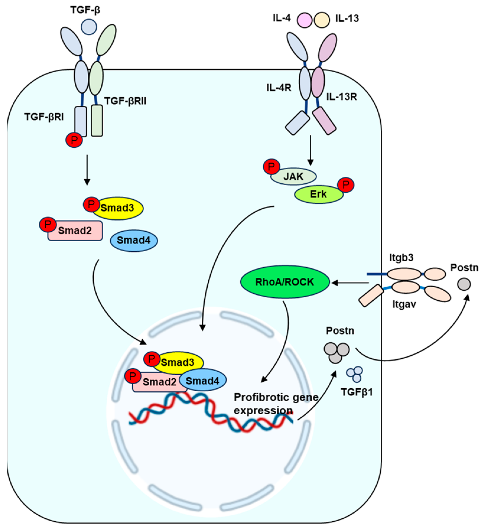 Ijms 25 01458 g002 Ijms 25 01458 g002