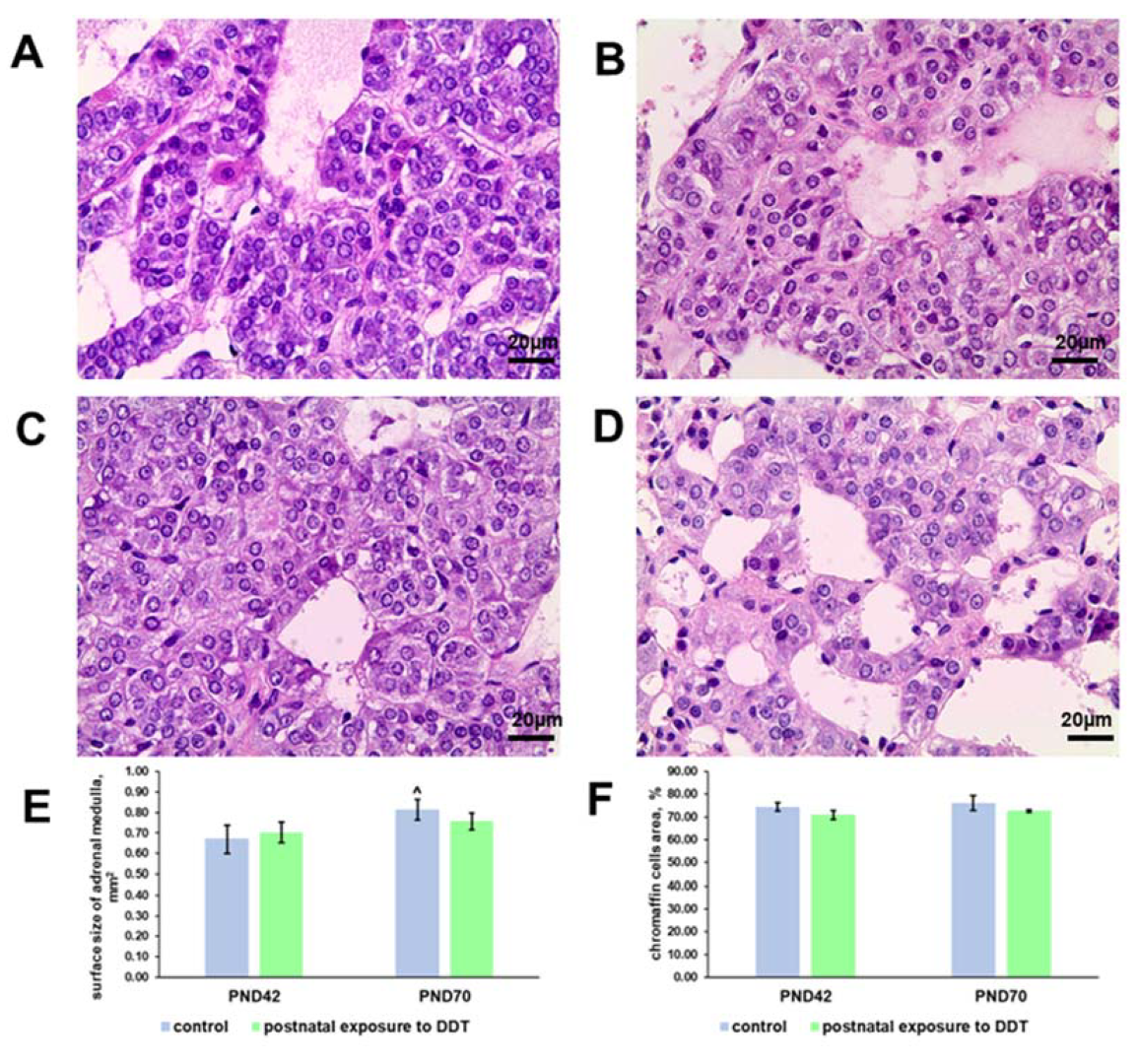 Ijms 25 01494 g001 Ijms 25 01494 g001