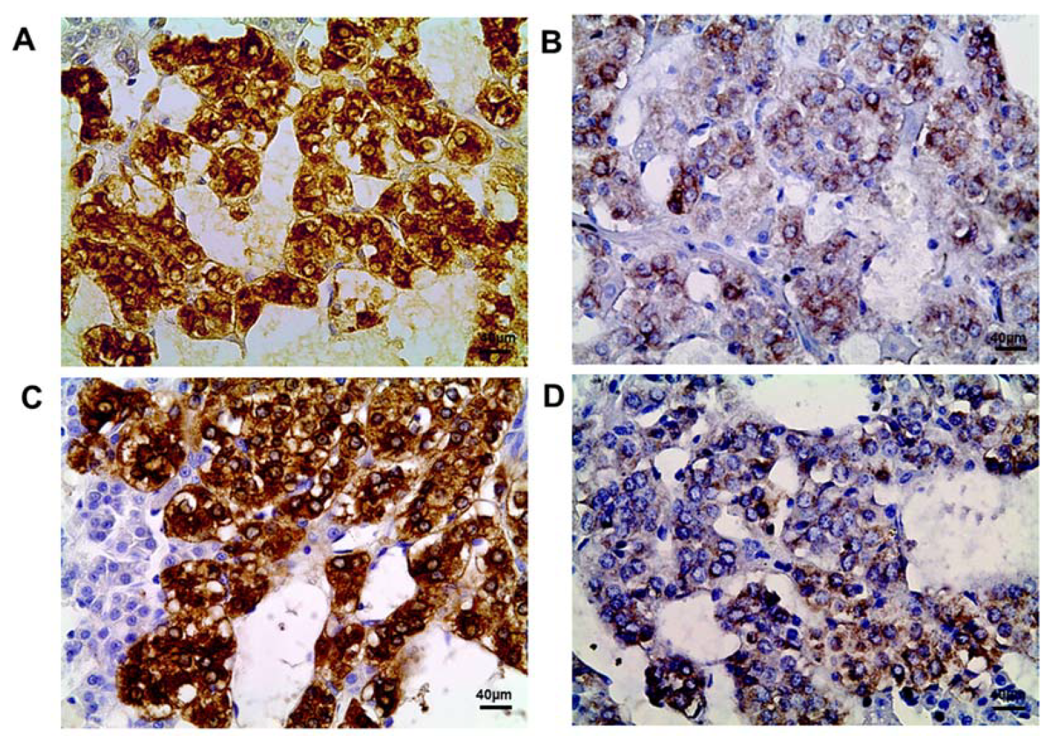 Ijms 25 01494 g002 Ijms 25 01494 g002