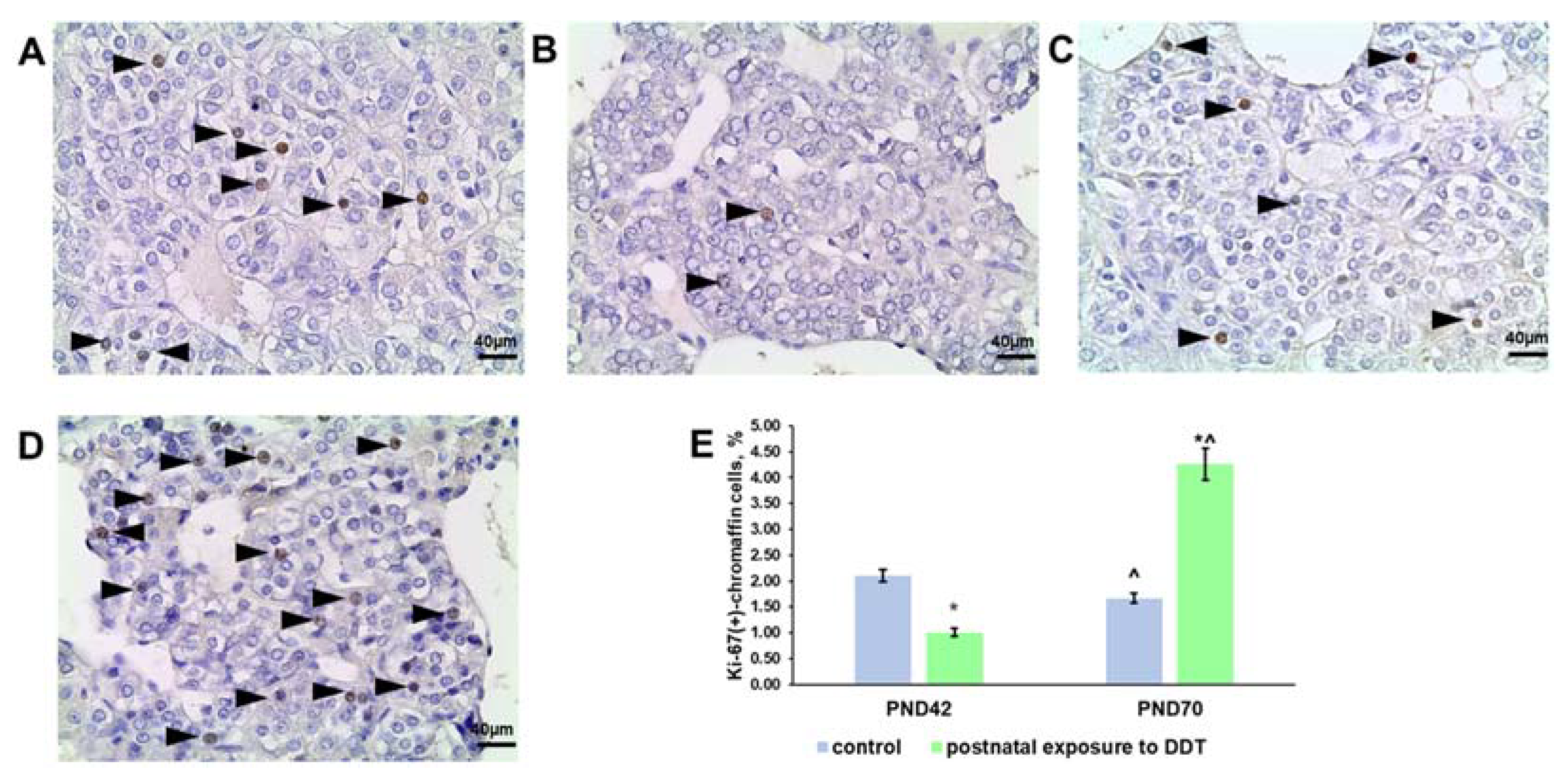 Ijms 25 01494 g003 Ijms 25 01494 g003