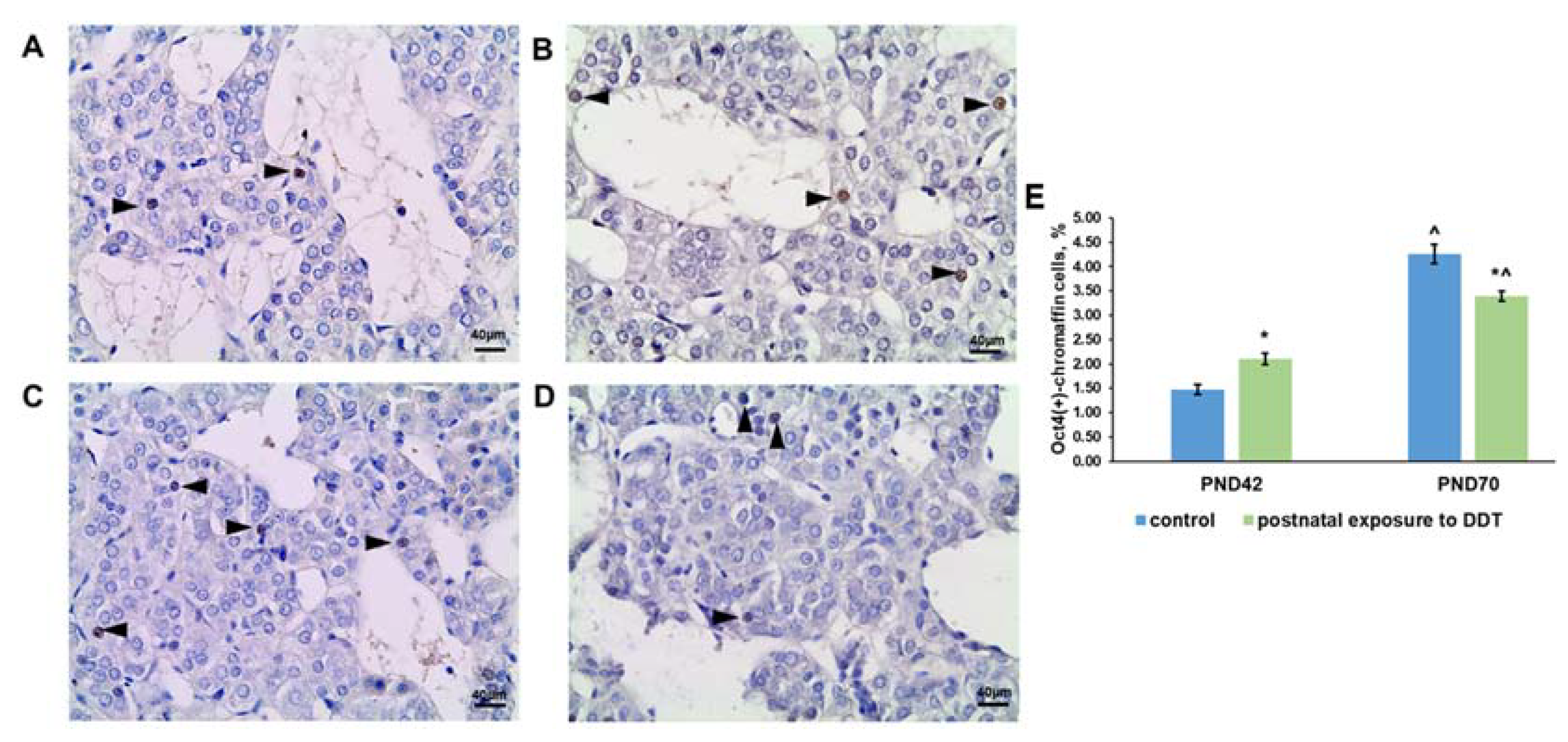 Ijms 25 01494 g004 Ijms 25 01494 g004