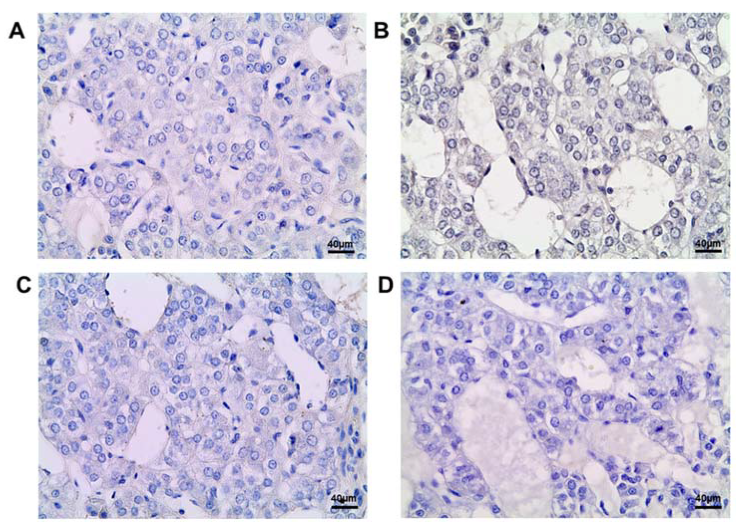 Ijms 25 01494 g005 Ijms 25 01494 g005