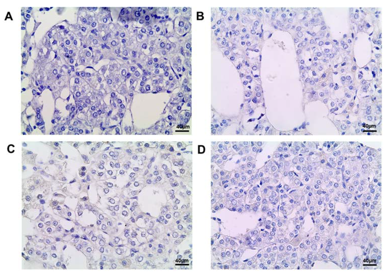 Ijms 25 01494 g006 Ijms 25 01494 g006