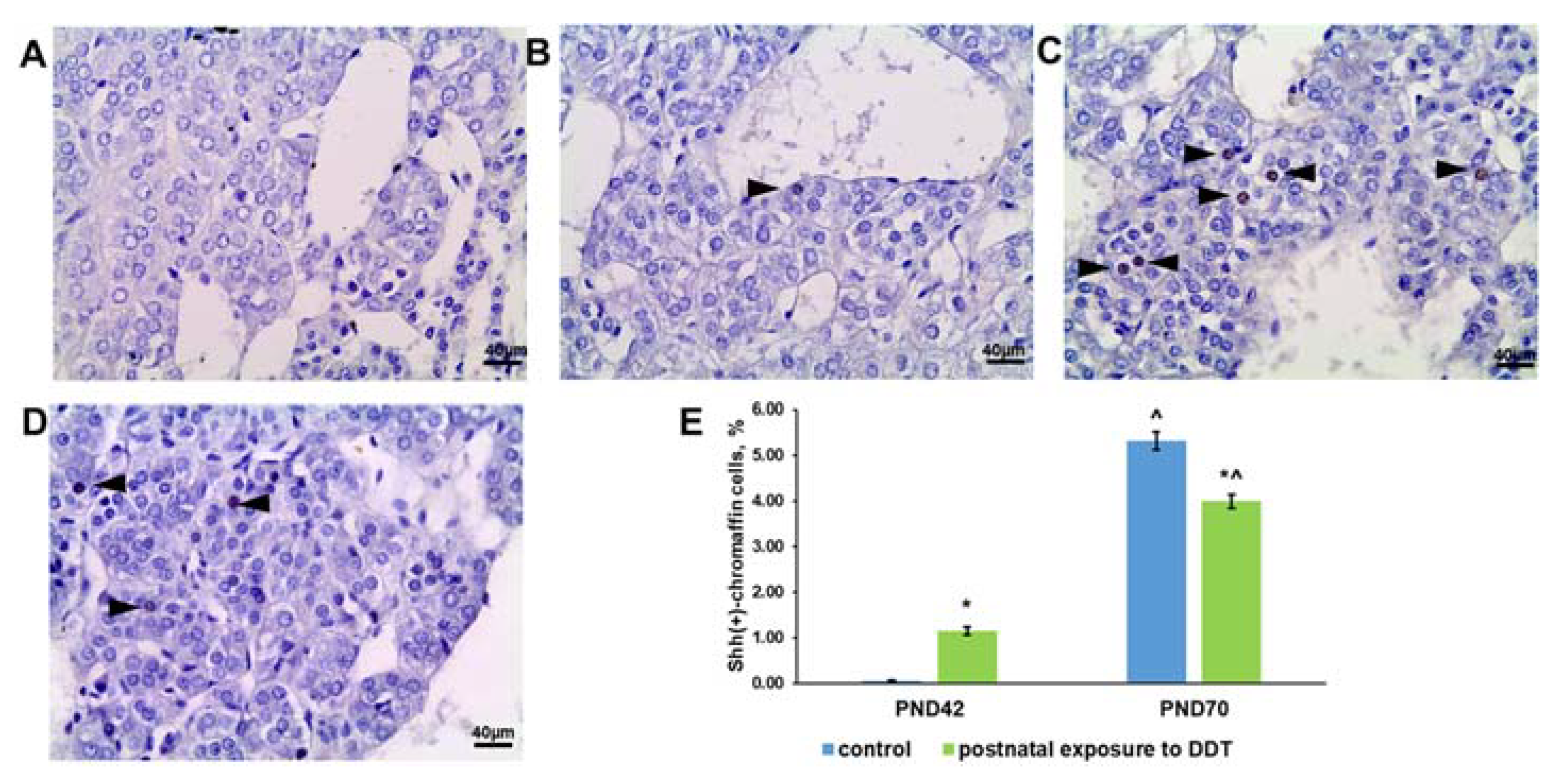 Ijms 25 01494 g007 Ijms 25 01494 g007
