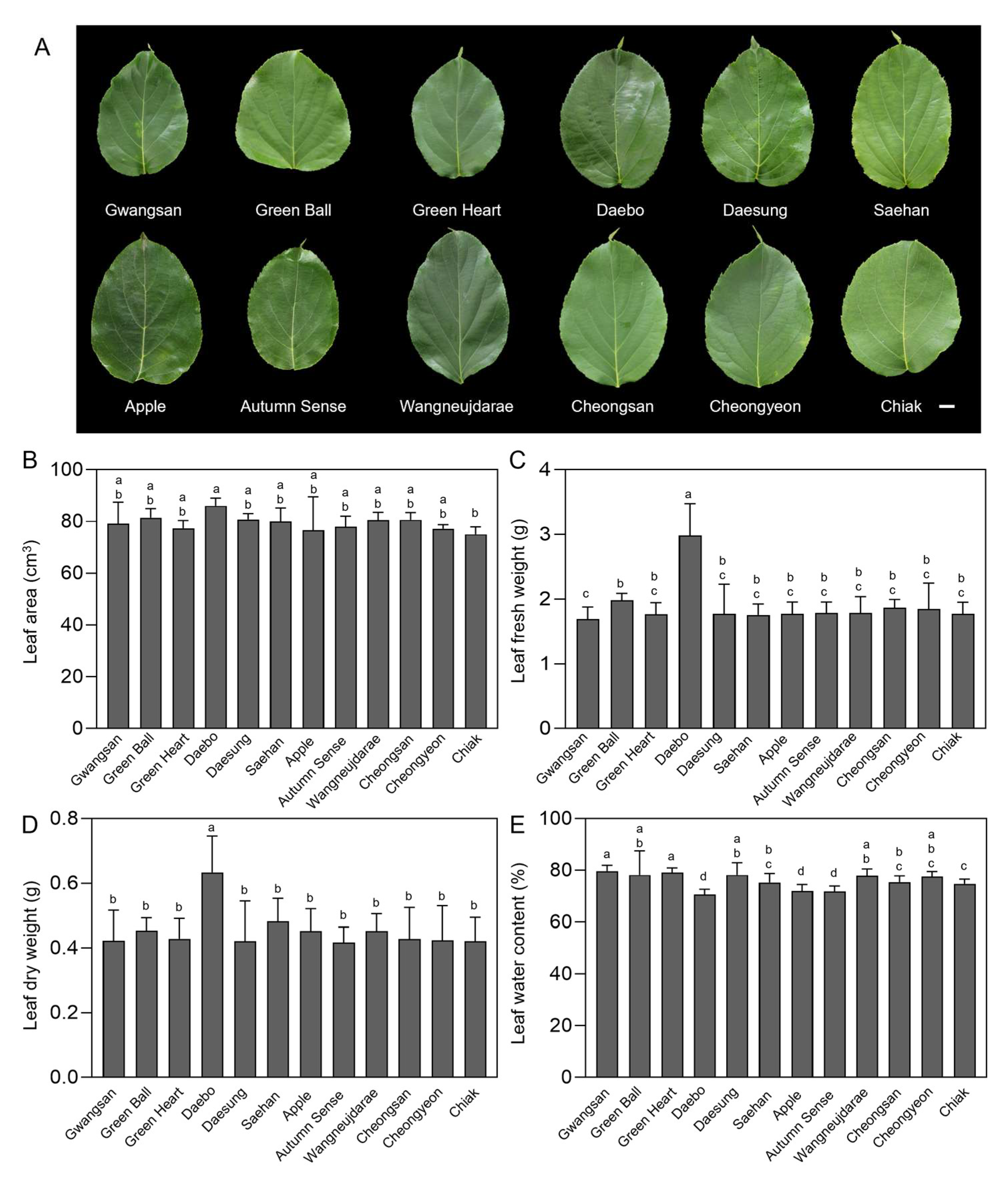 Ijms 25 01505 g001 Ijms 25 01505 g001