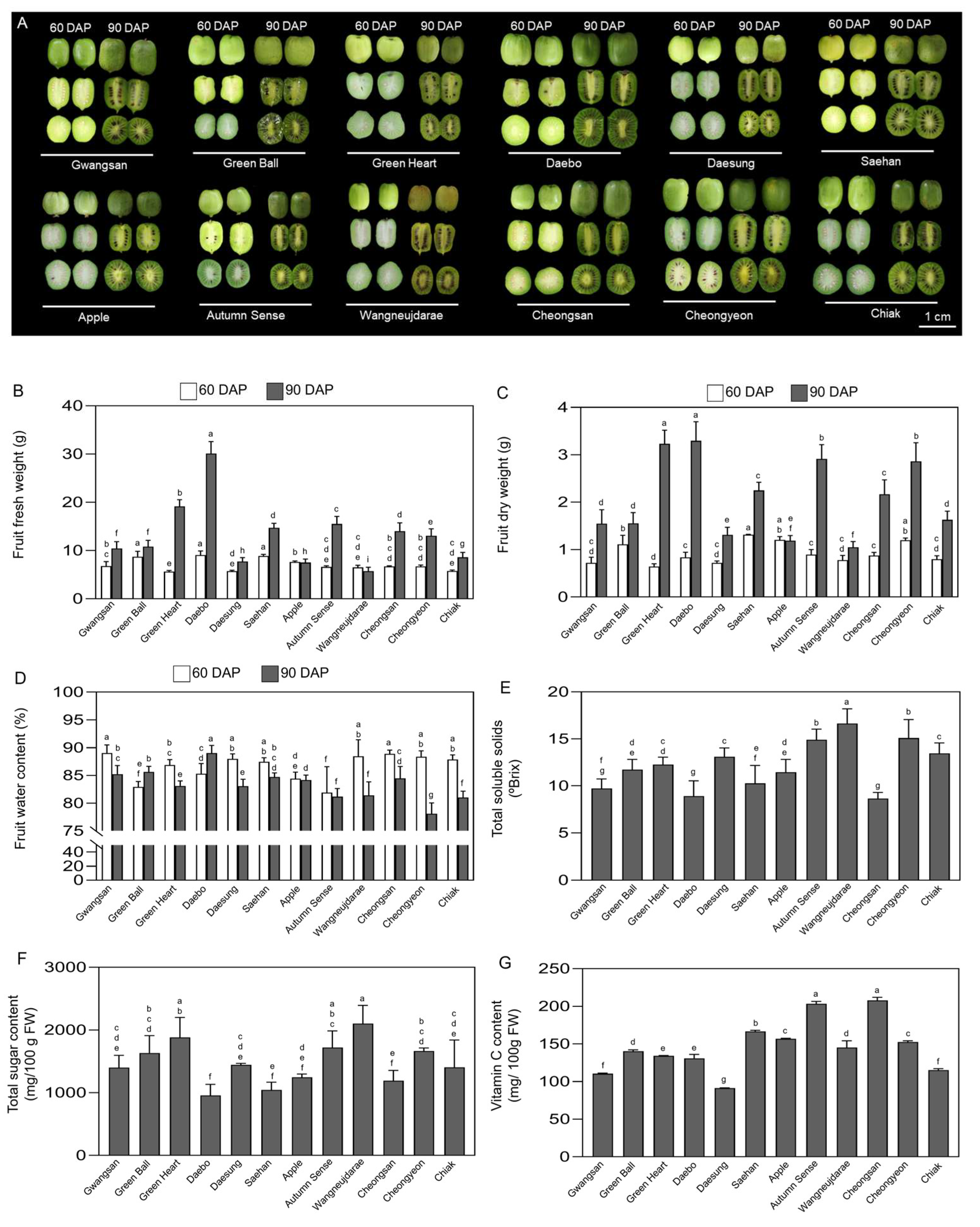 Ijms 25 01505 g004 Ijms 25 01505 g004
